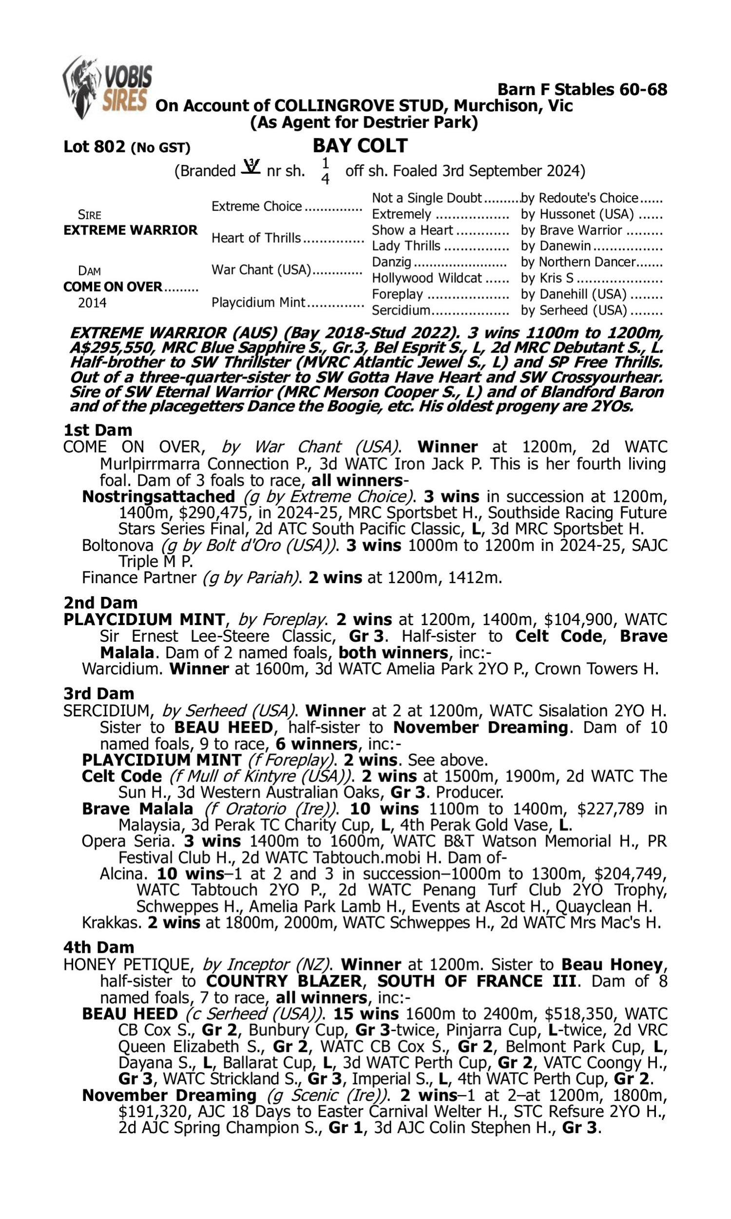 Pedigree for Lot 802 Extreme Warrior - Come on Over