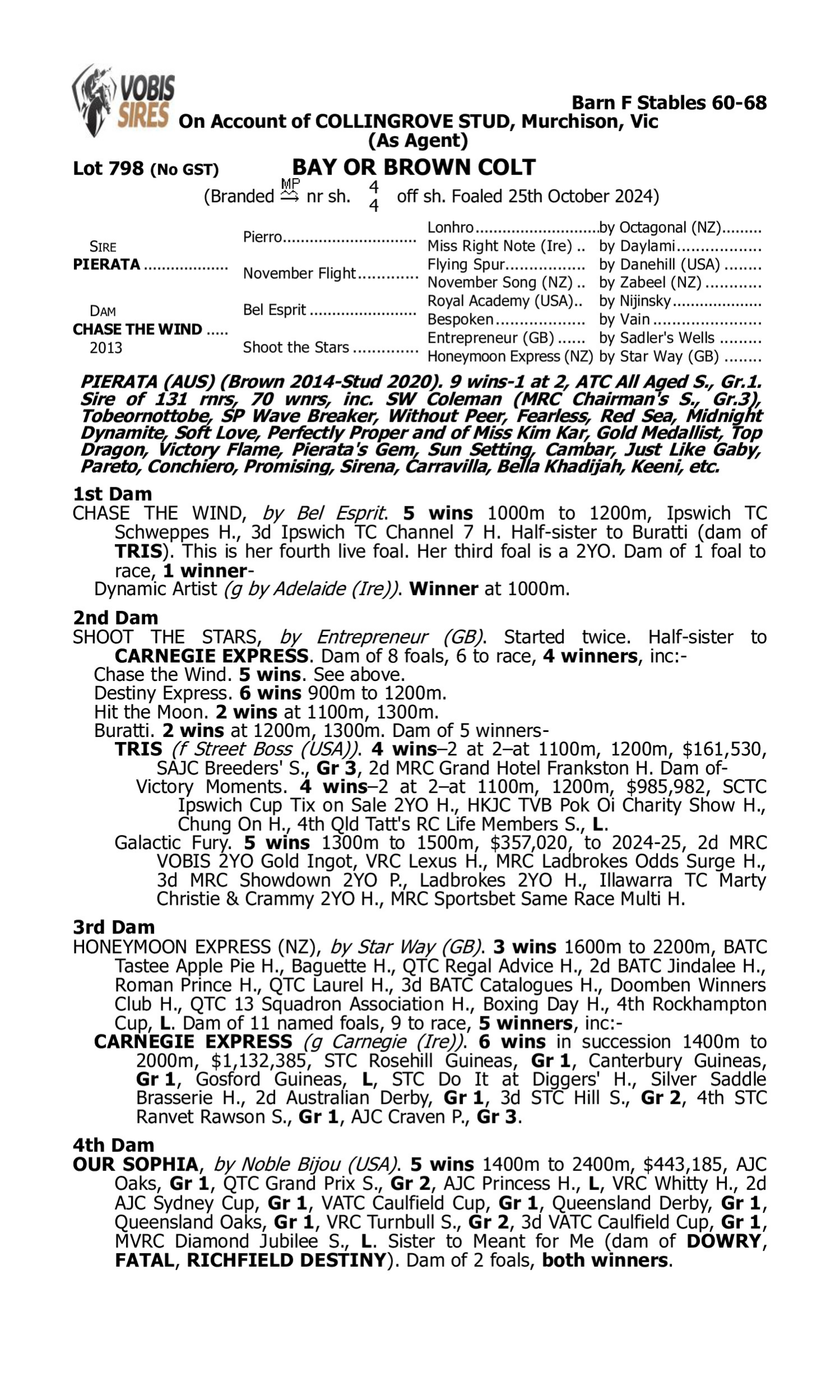 Pedigree for Lot 798 Pierata - Chase the Wind
