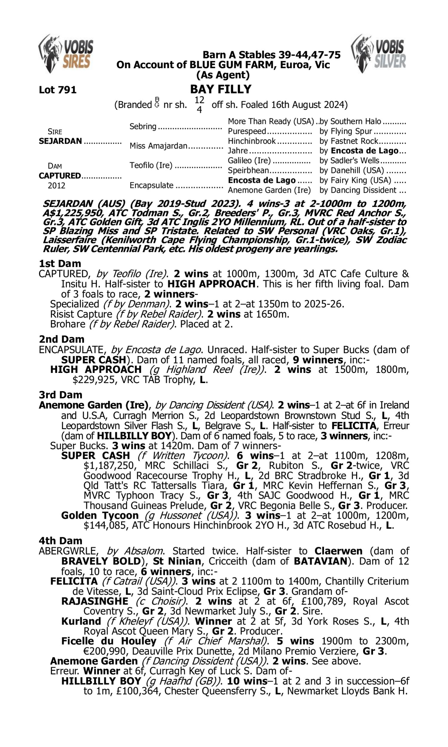 Pedigree for Lot 791 Sejardan - Captured