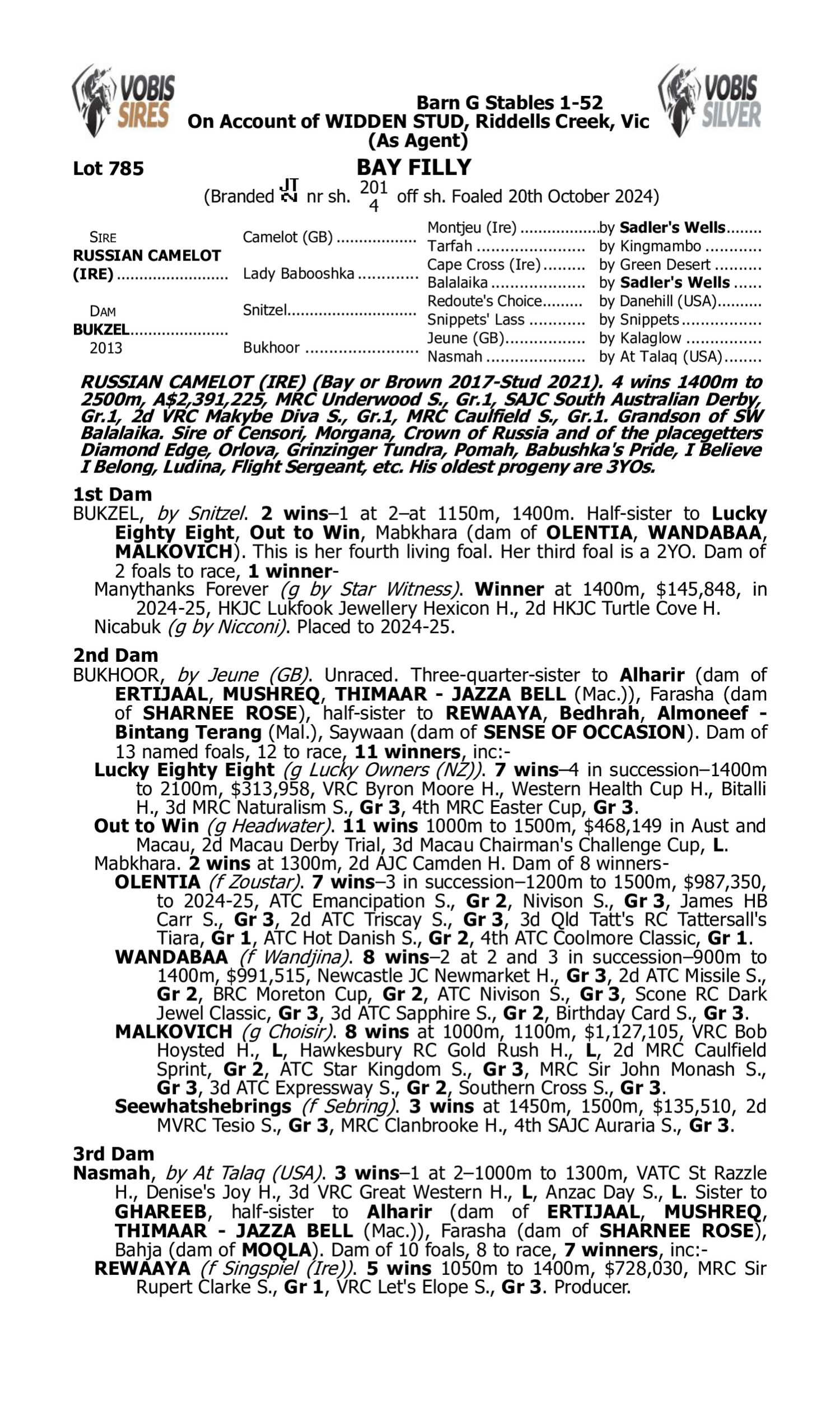 Pedigree for Lot 785 Russian Camelot (IRE) - Bukzel