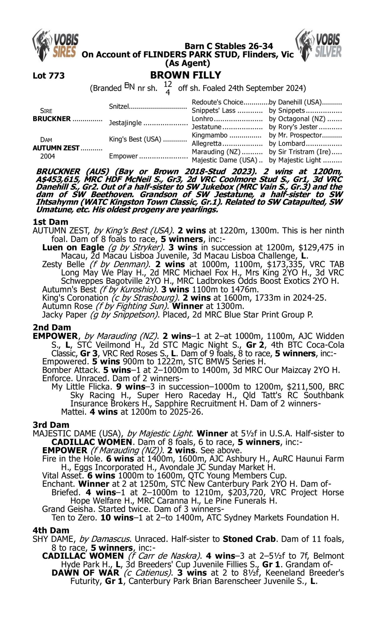Pedigree for Lot 773 Bruckner - Autumn Zest