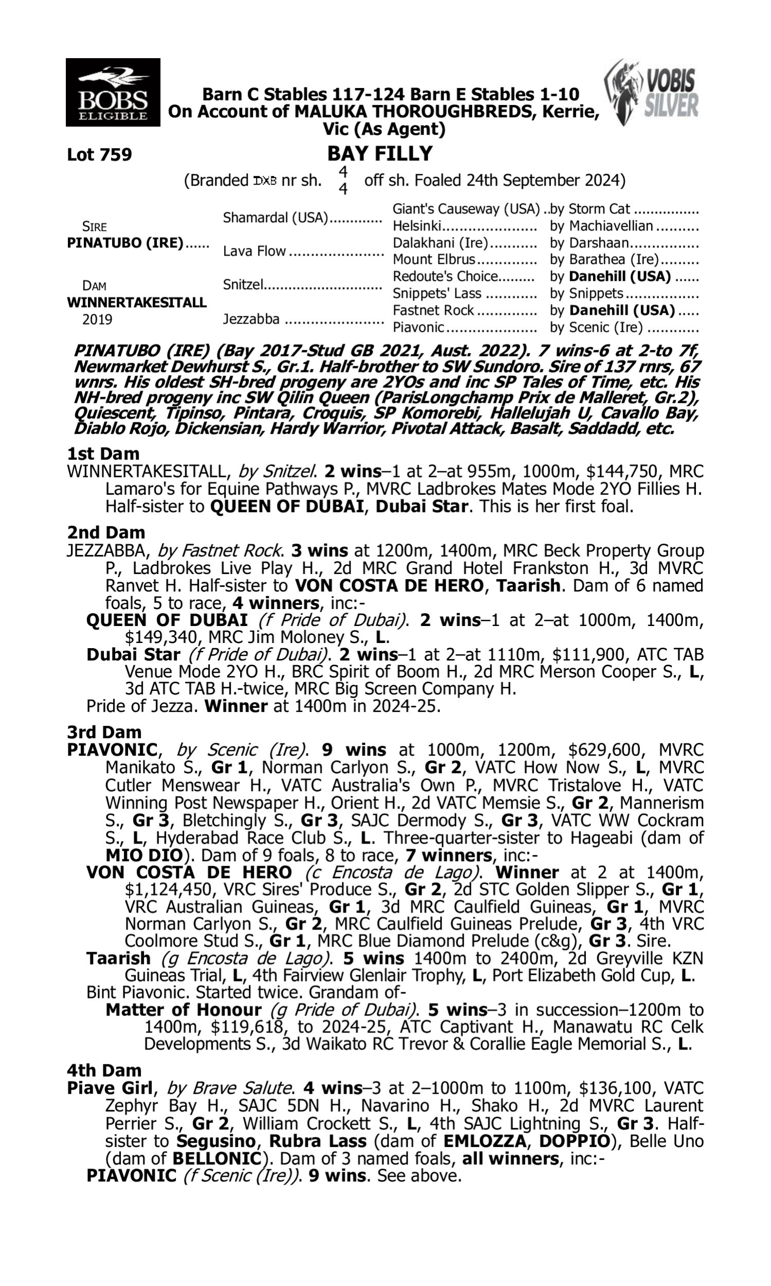 Pedigree for Lot 759 Pinatubo (IRE) - Winnertakesitall