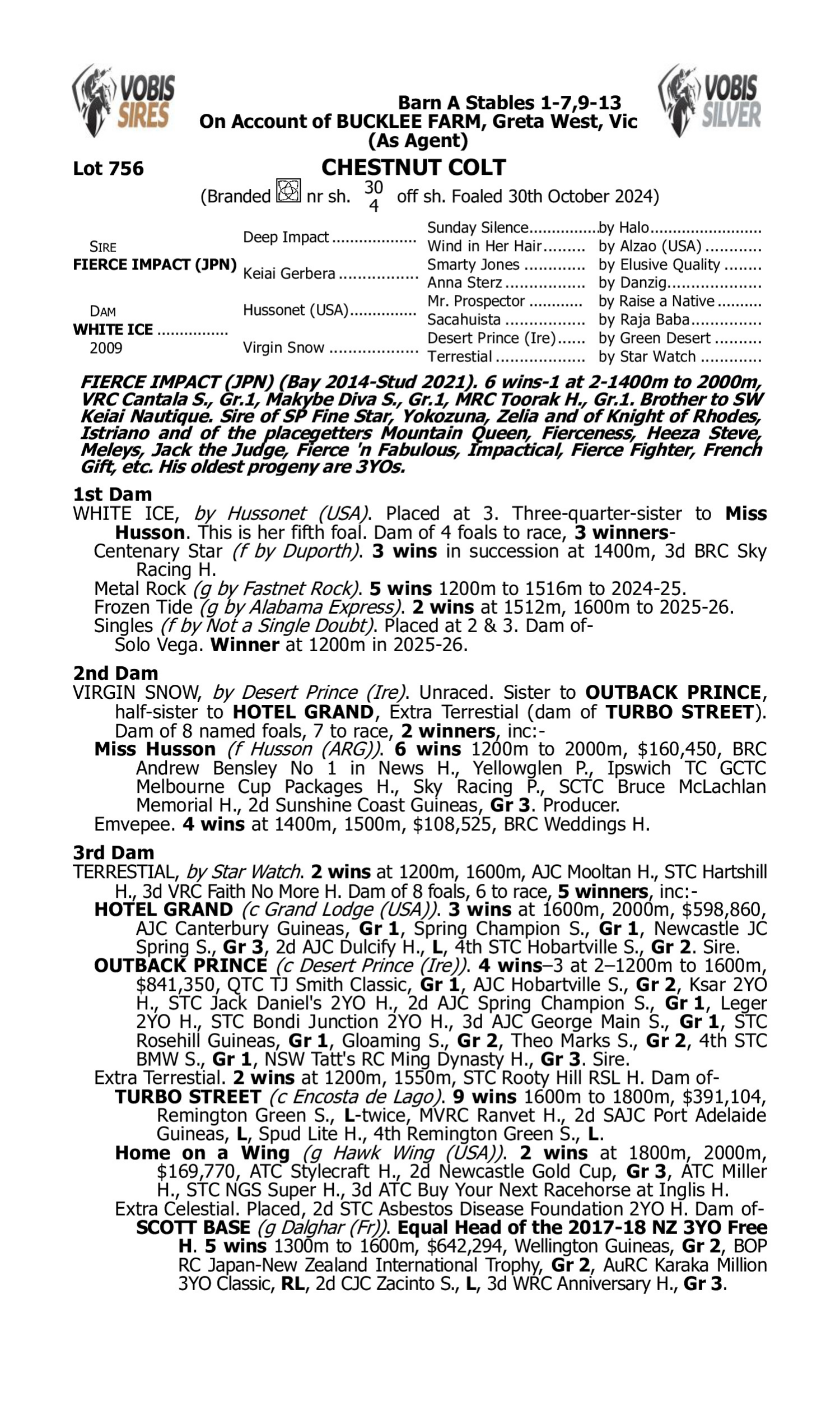 Pedigree for Lot 756 Fierce Impact (JPN) - White Ice