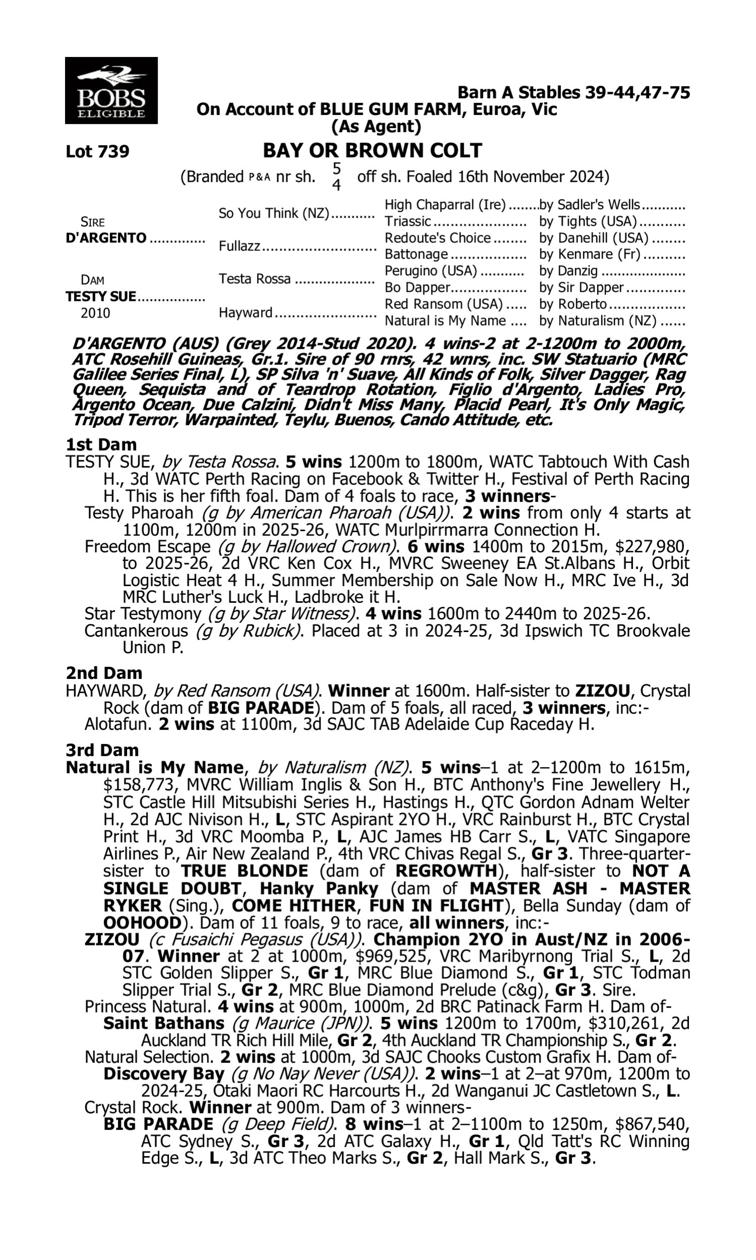Pedigree for Lot 739 D'Argento - Testy Sue