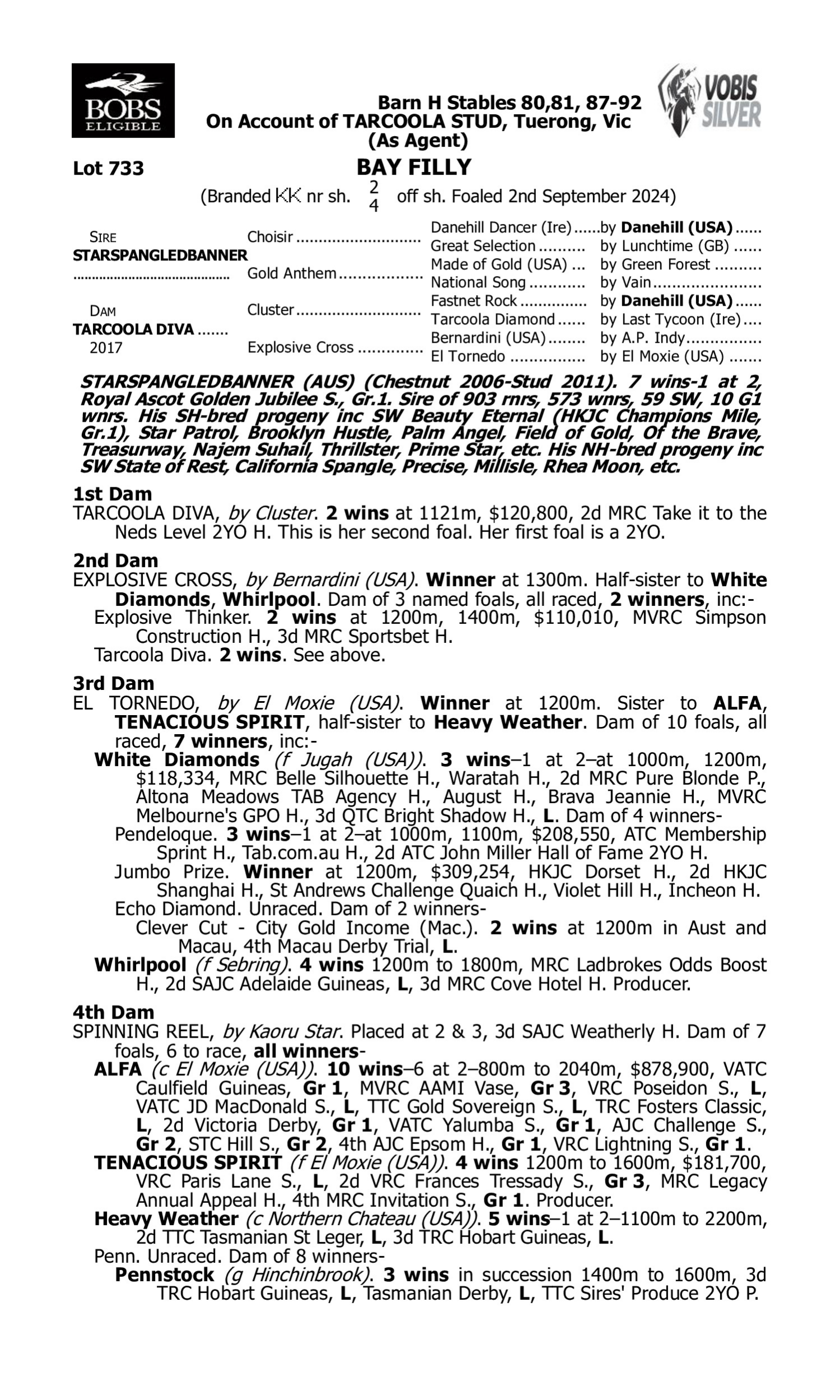 Pedigree for Lot 733 Starspangledbanner - Tarcoola Diva