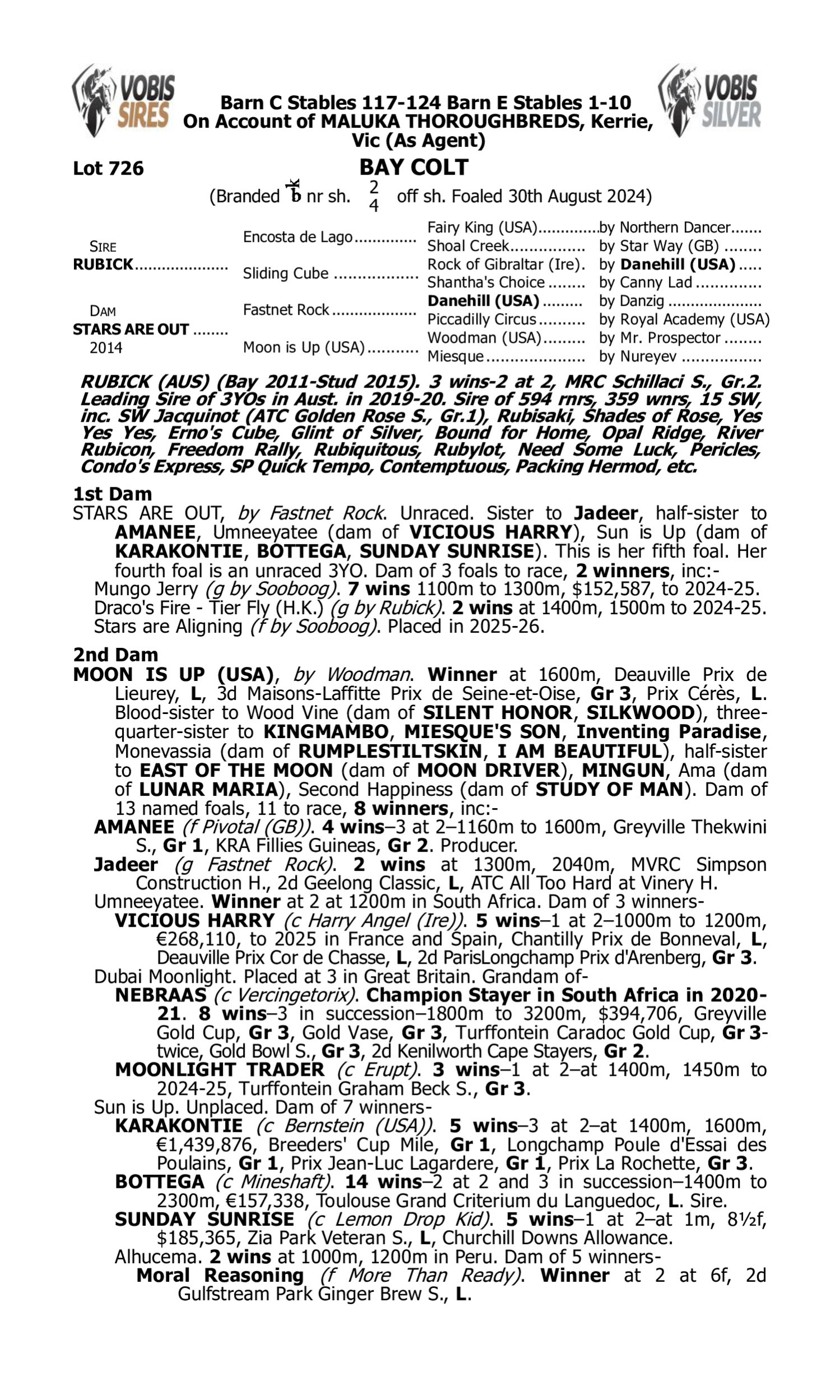 Pedigree for Lot 726 Rubick - Stars are Out