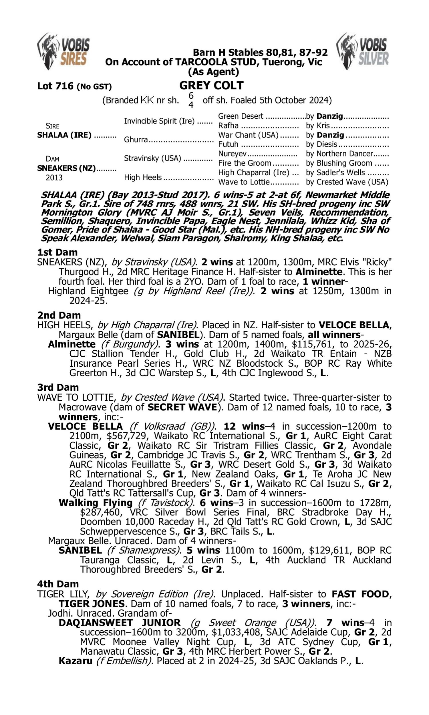 Pedigree for Lot 716 Shalaa (IRE) - Sneakers (NZ)