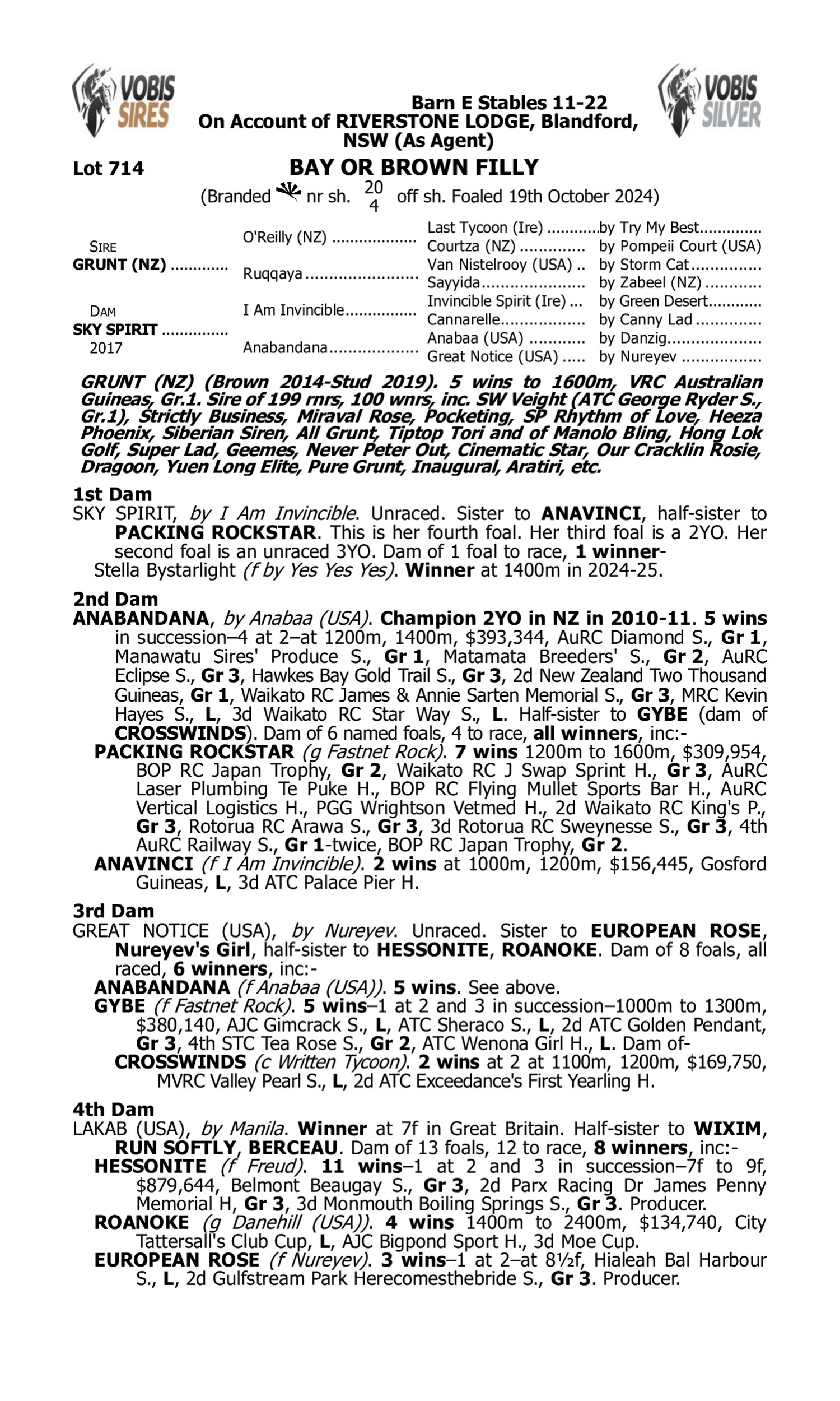 Pedigree for Lot 714 Grunt (NZ) - Sky Spirit