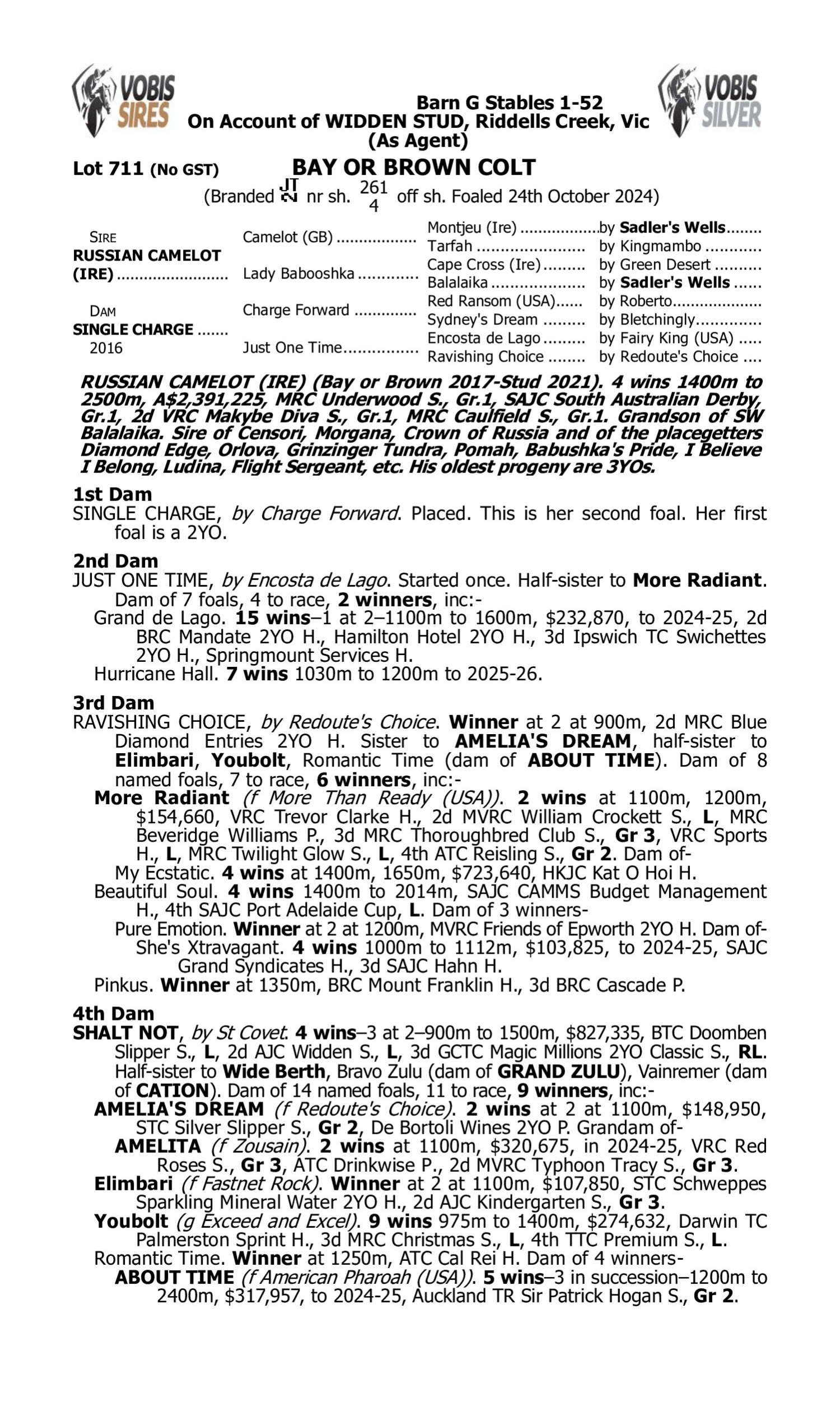 Pedigree for Lot 711 Russian Camelot (IRE) - Single Charge