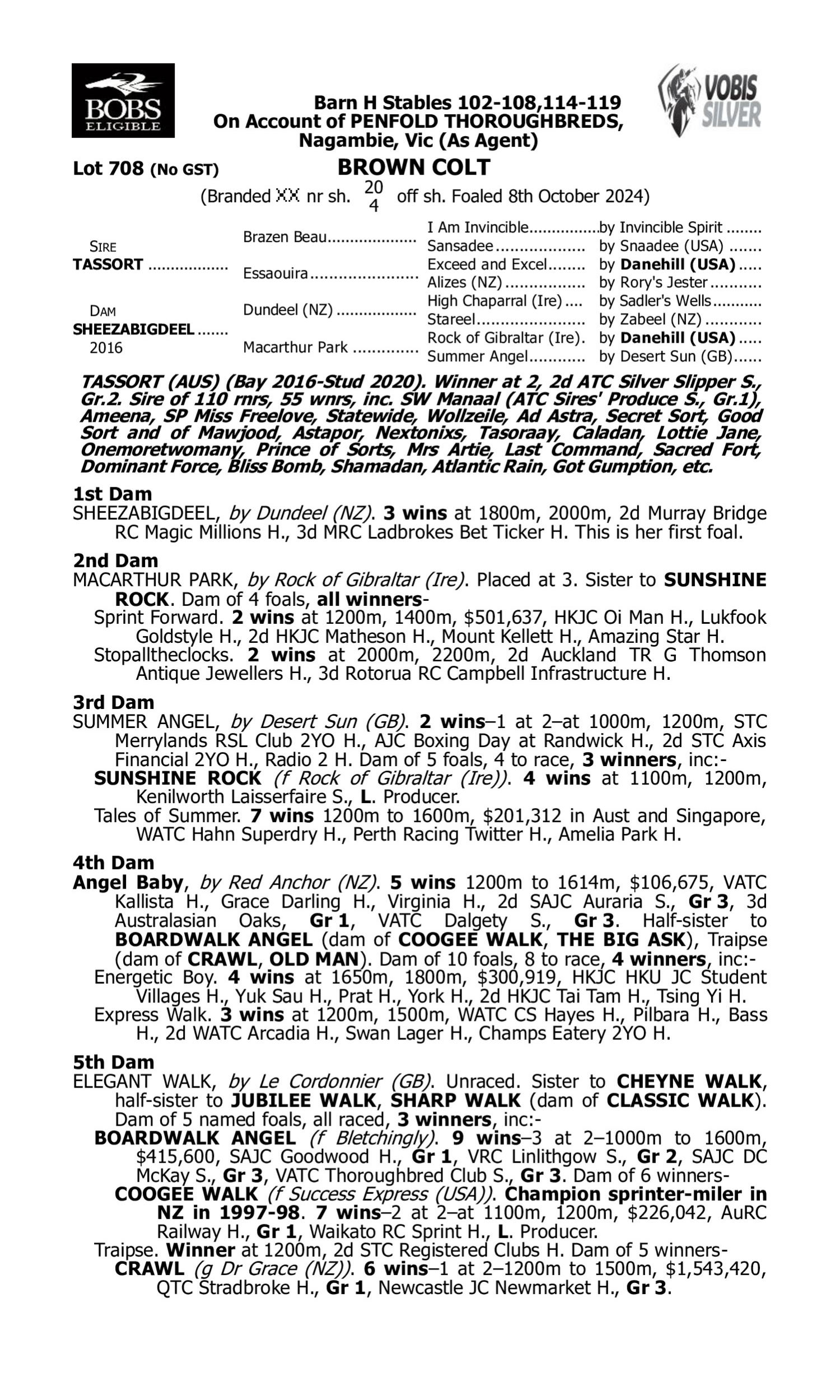 Pedigree for Lot 708 Tassort - Sheezabigdeel