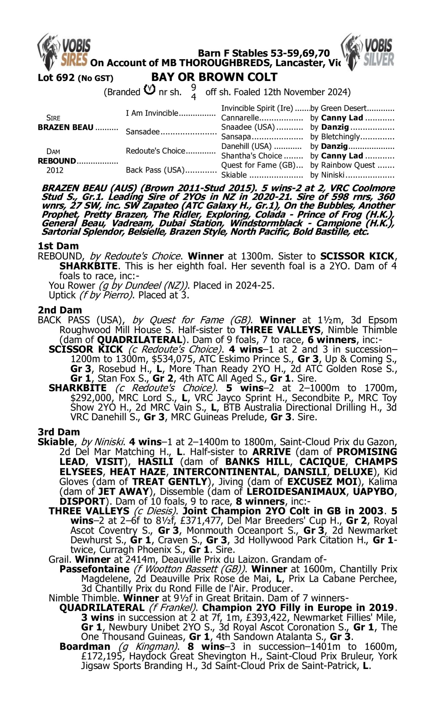 Pedigree for Lot 692 Brazen Beau - Rebound