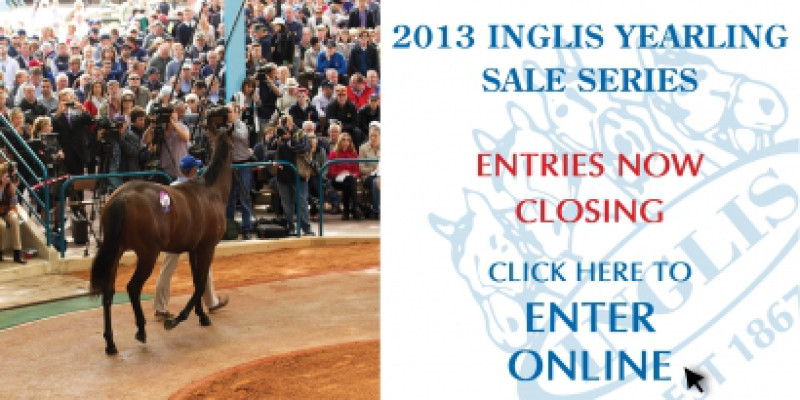 2012 Yearling Sale Series