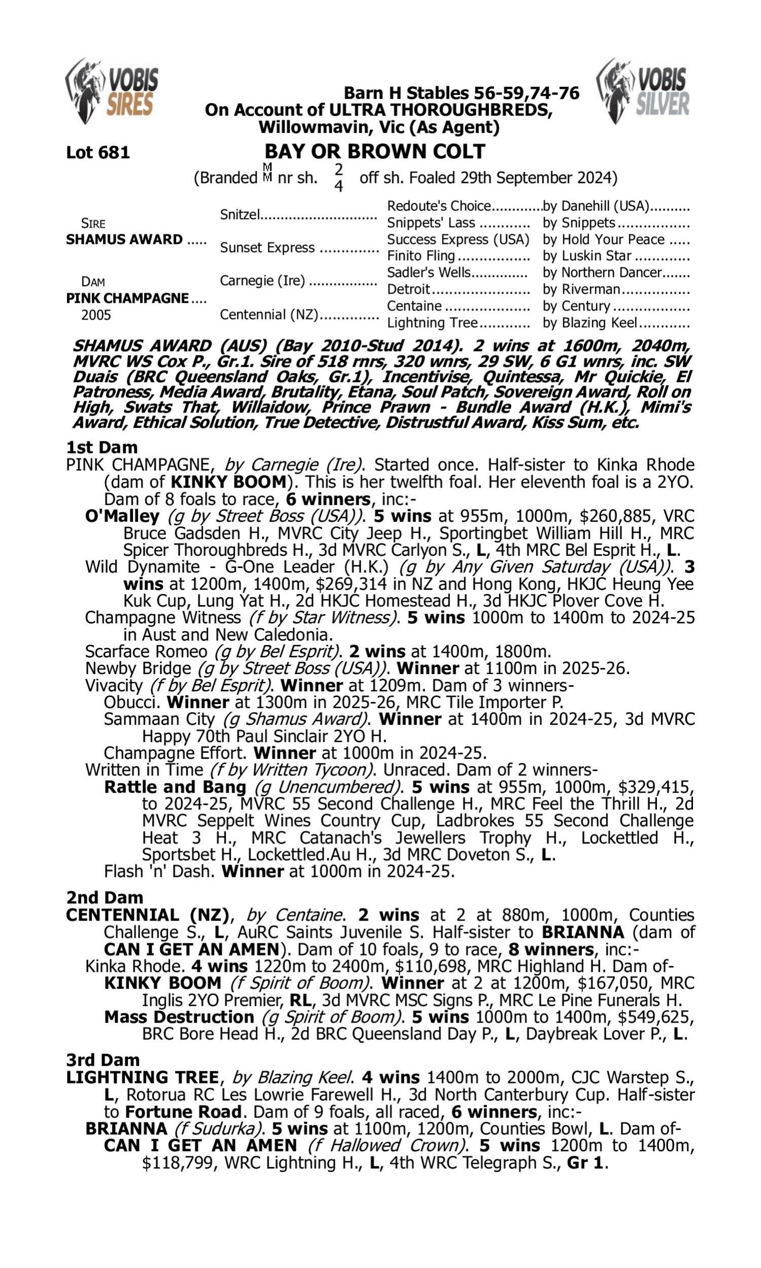 Pedigree for Lot 681 Shamus Award - Pink Champagne