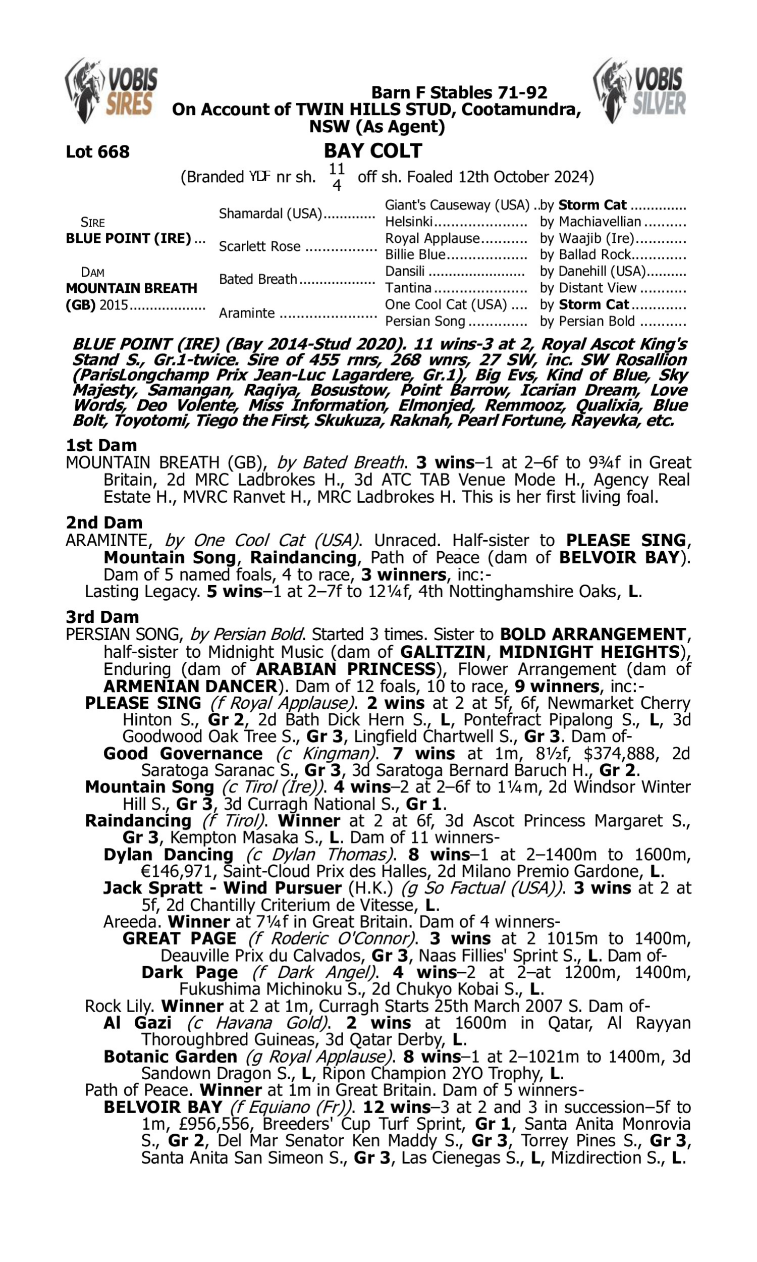 Pedigree for Lot 668 Blue Point (IRE) - Mountain Breath (GB)