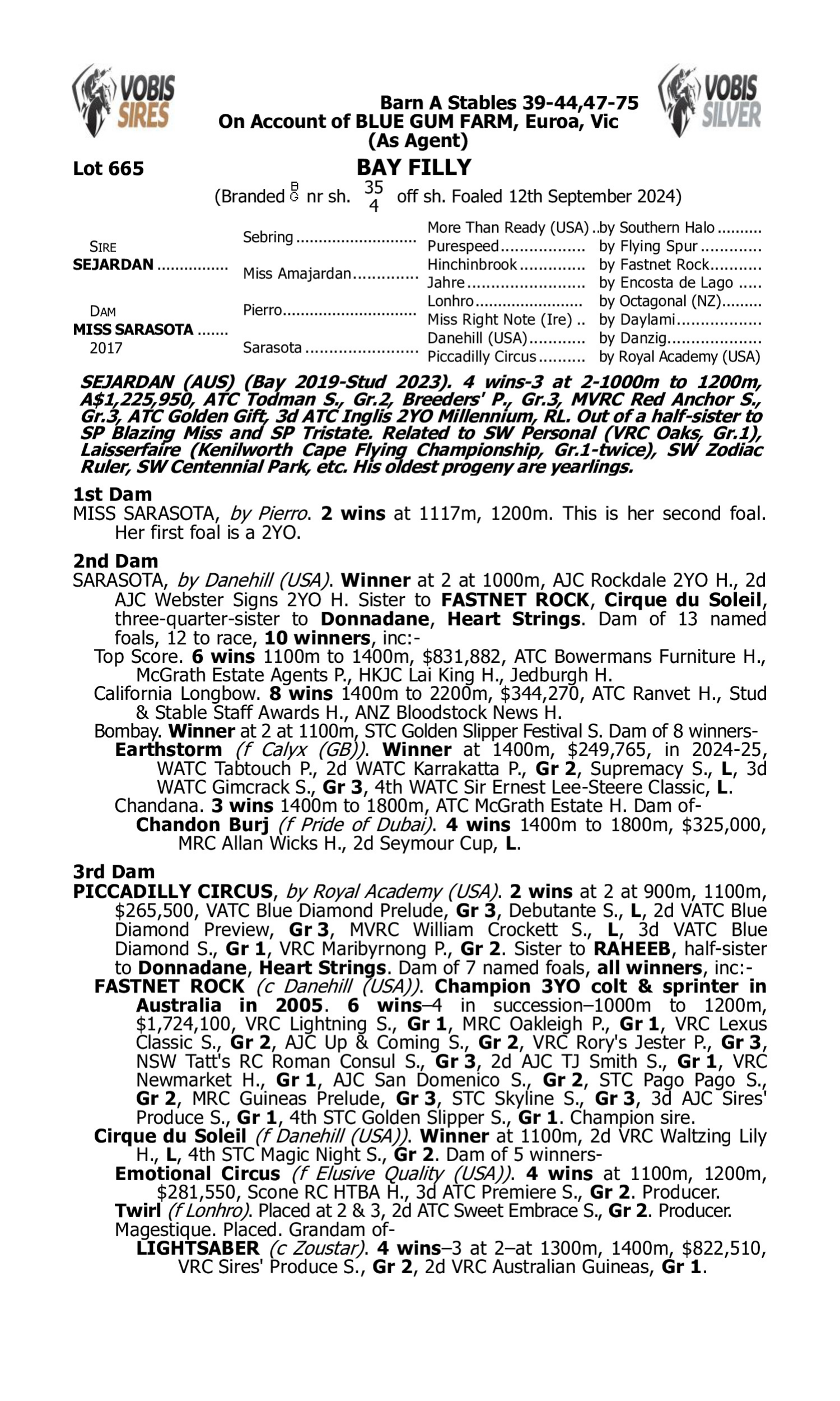Pedigree for Lot 665 Sejardan - Miss Sarasota