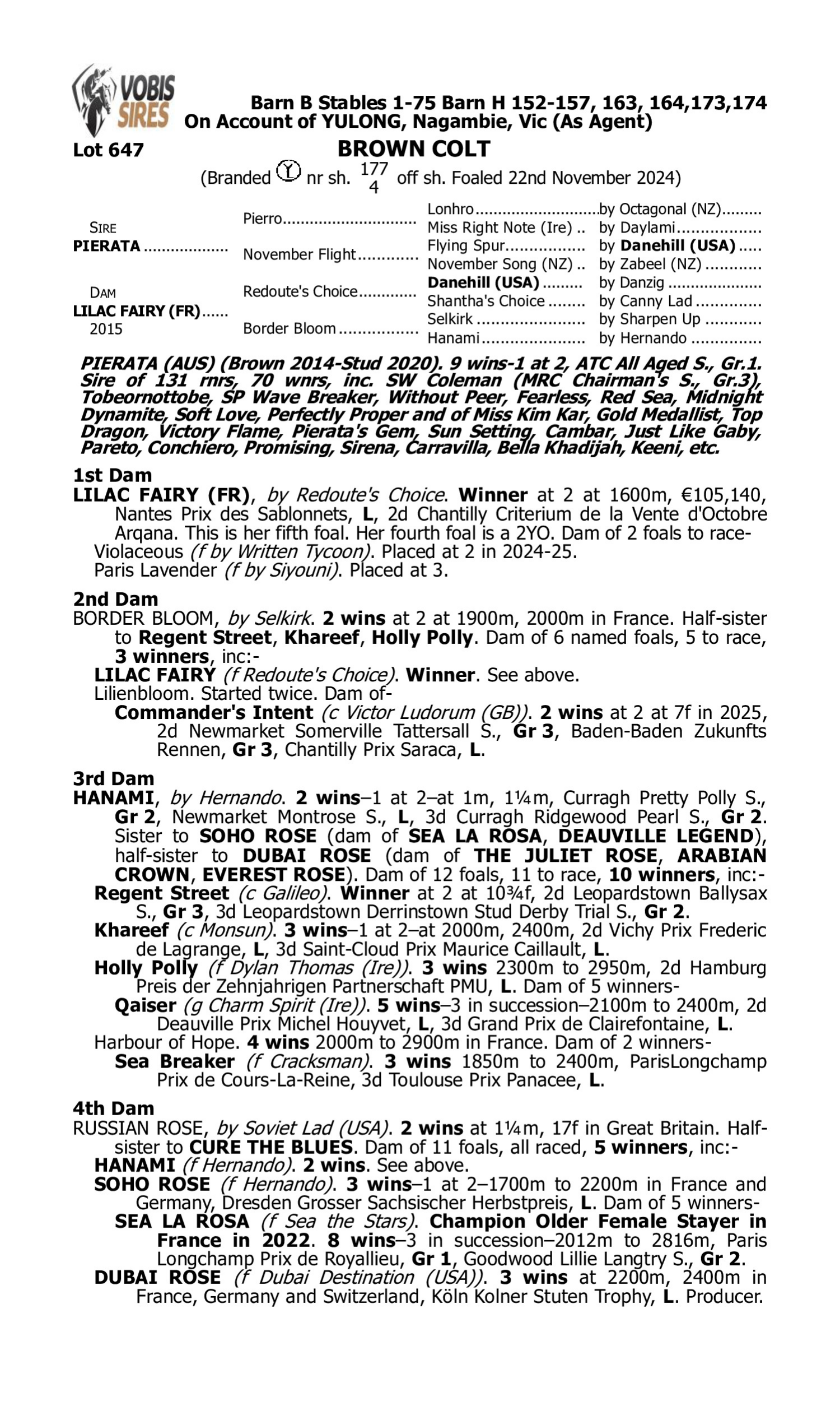 Pedigree for Lot 647 Pierata - Lilac Fairy (FR)