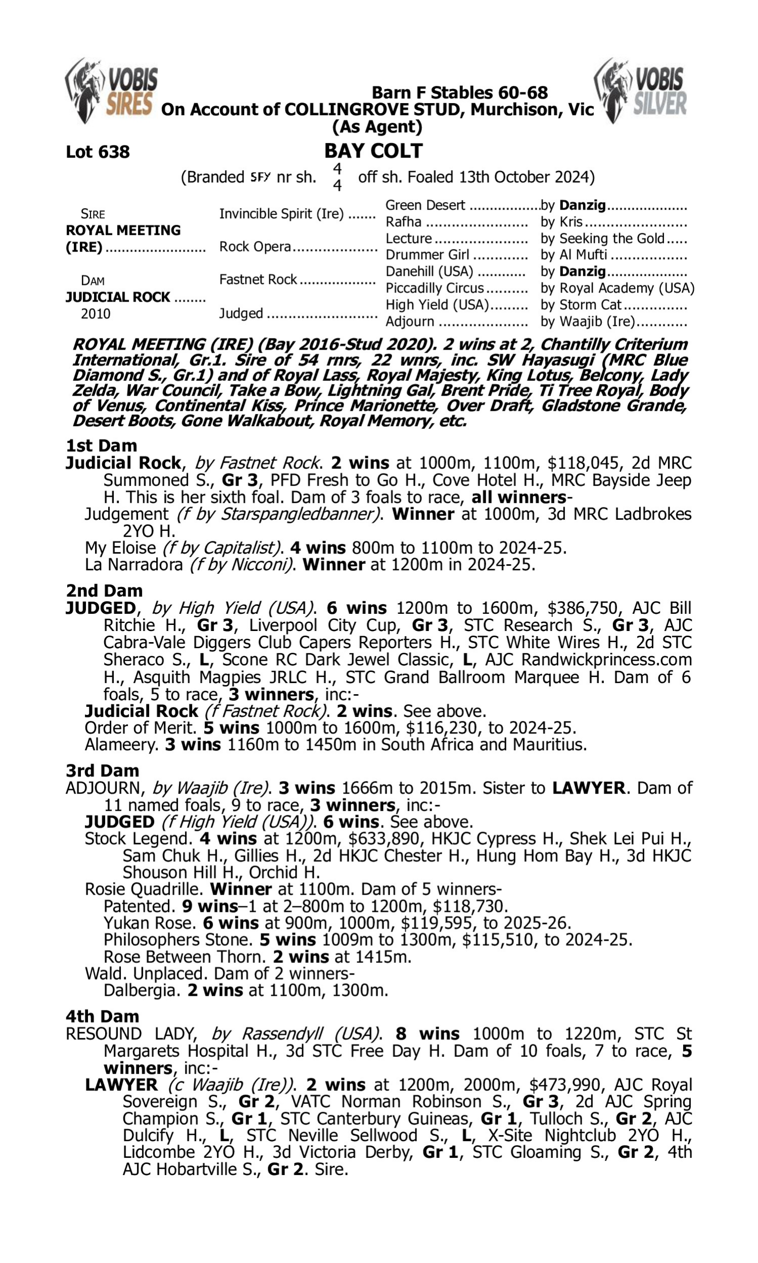Pedigree for Lot 638 Royal Meeting (IRE) - Judicial Rock