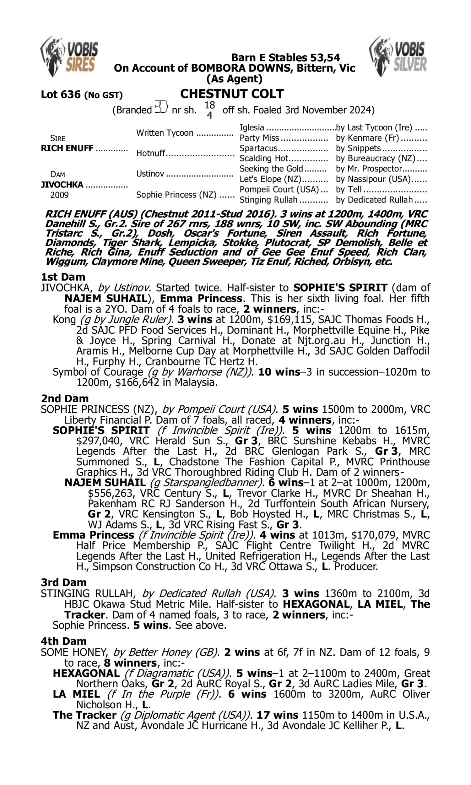 Pedigree for Lot 636 Rich Enuff - Jivochka