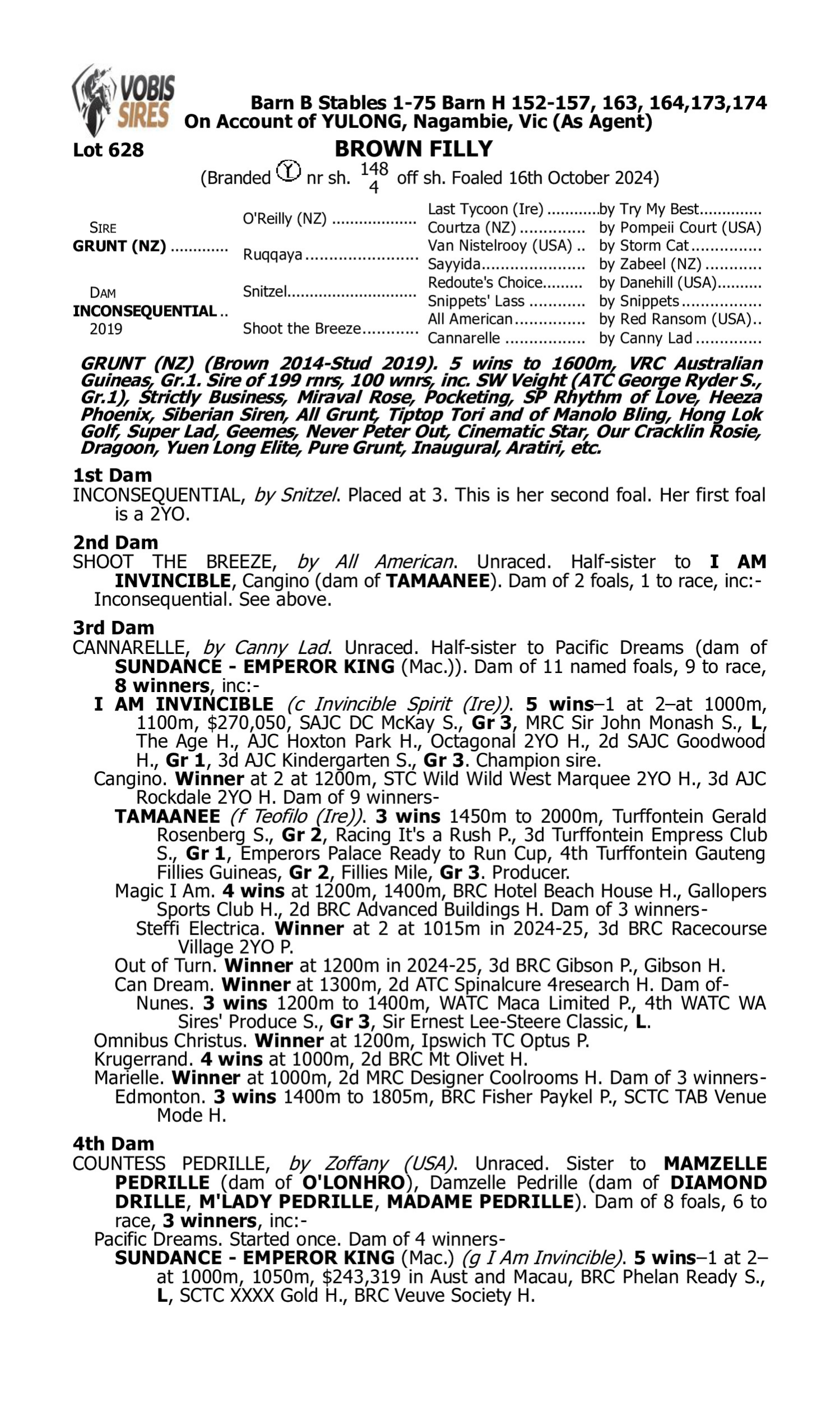 Pedigree for Lot 628 Grunt (NZ) - Inconsequential