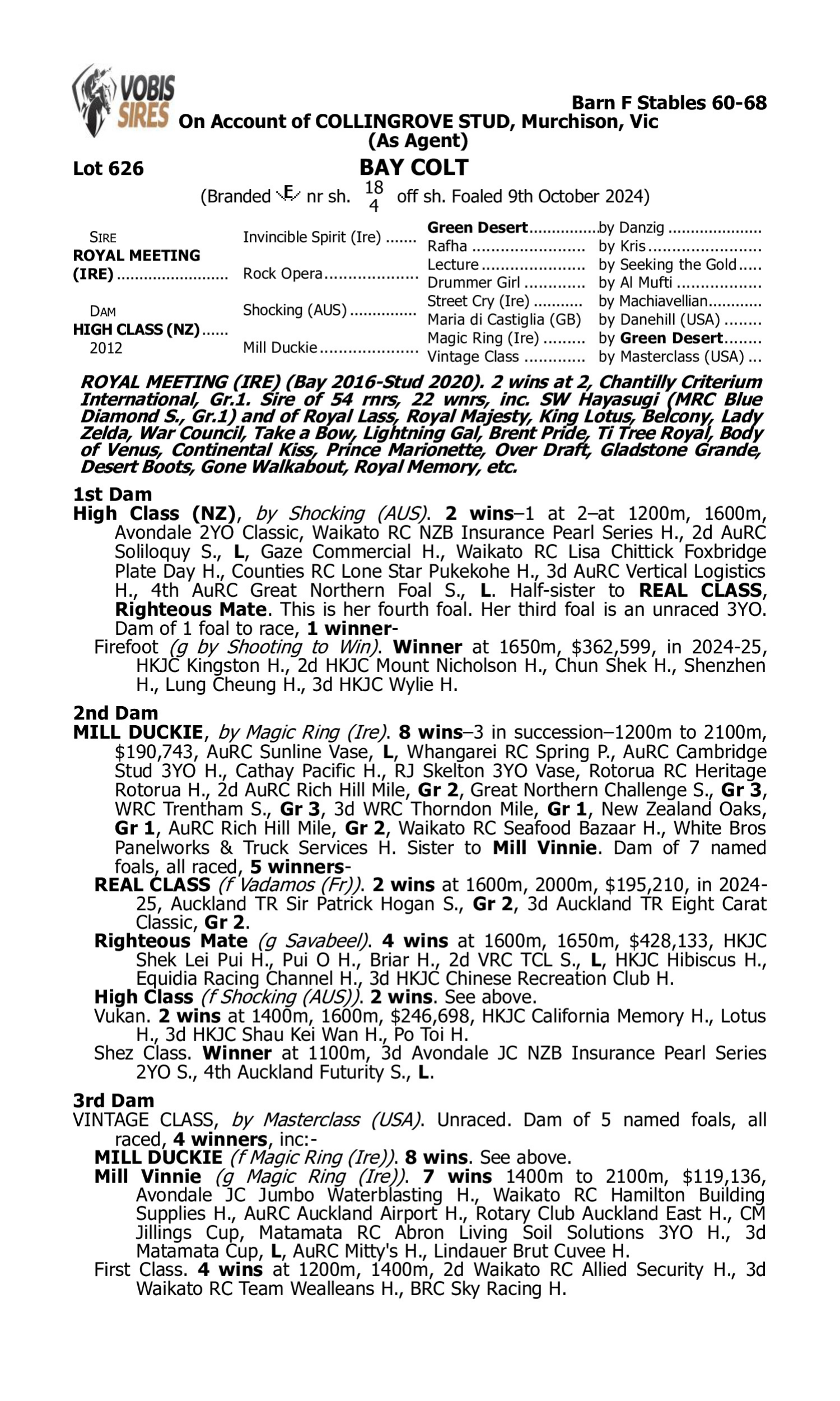 Pedigree for Lot 626 Royal Meeting (IRE) - High Class (NZ)
