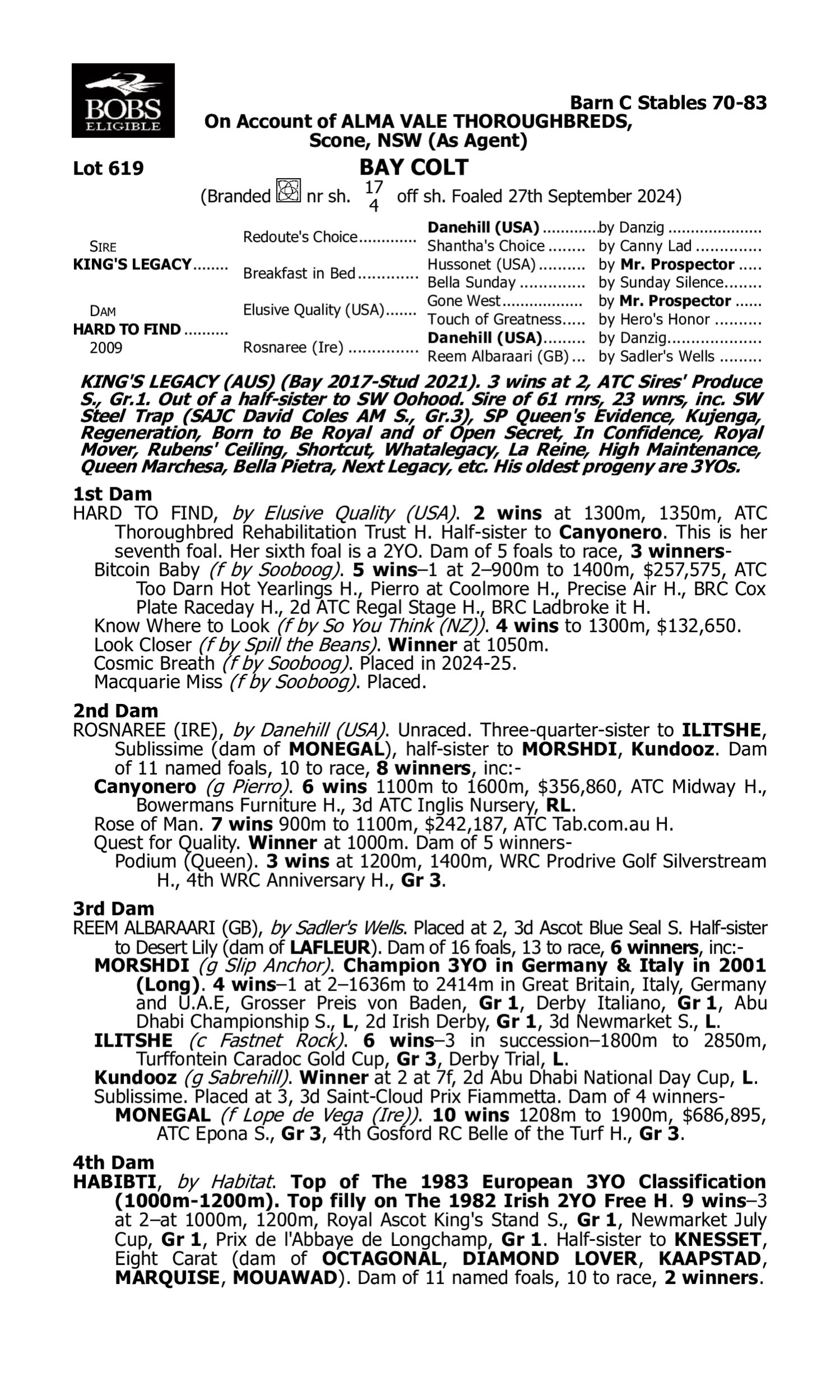 Pedigree for Lot 619 King's Legacy - Hard to Find