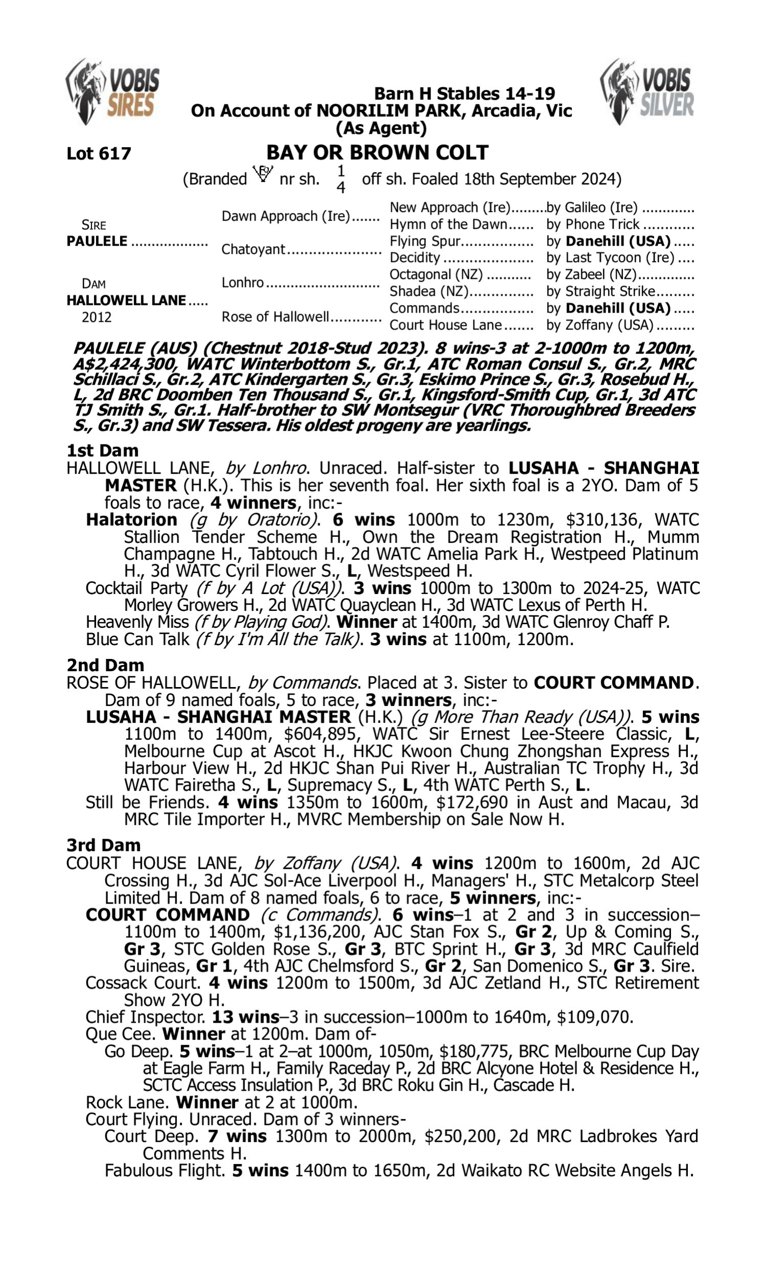 Pedigree for Lot 617 Paulele - Hallowell Lane
