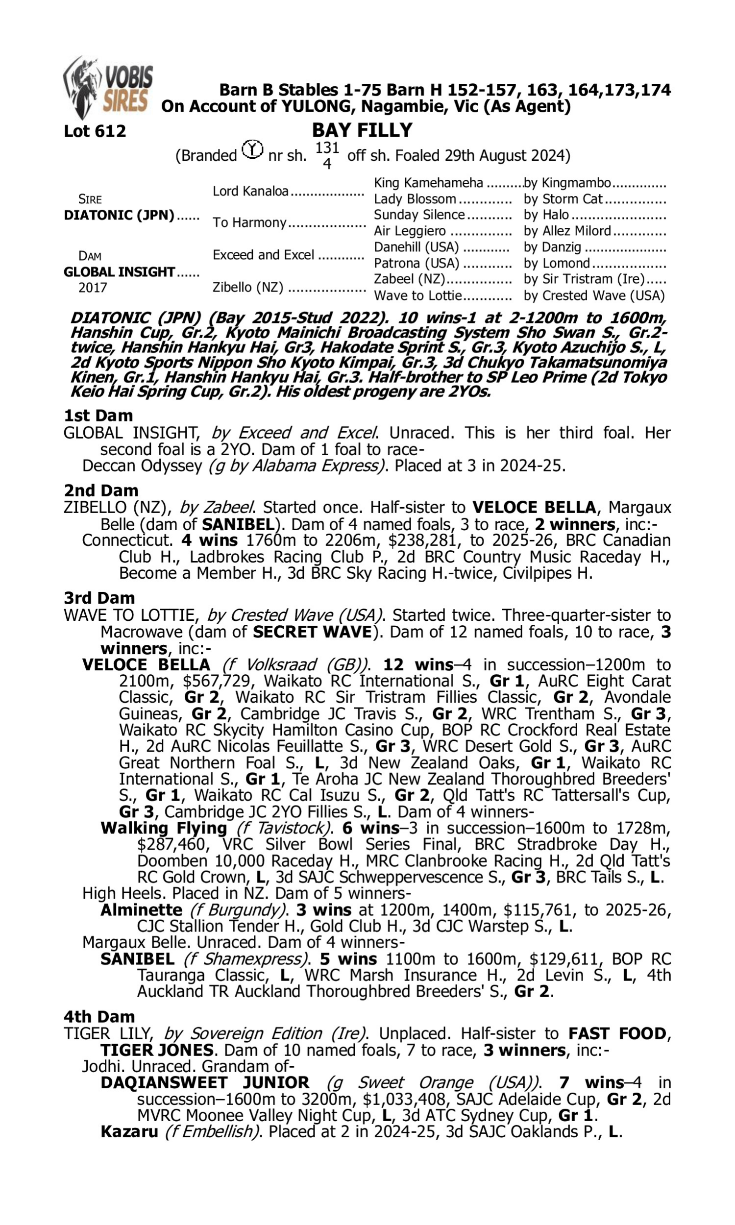 Pedigree for Lot 612 Diatonic (JPN) - Global Insight