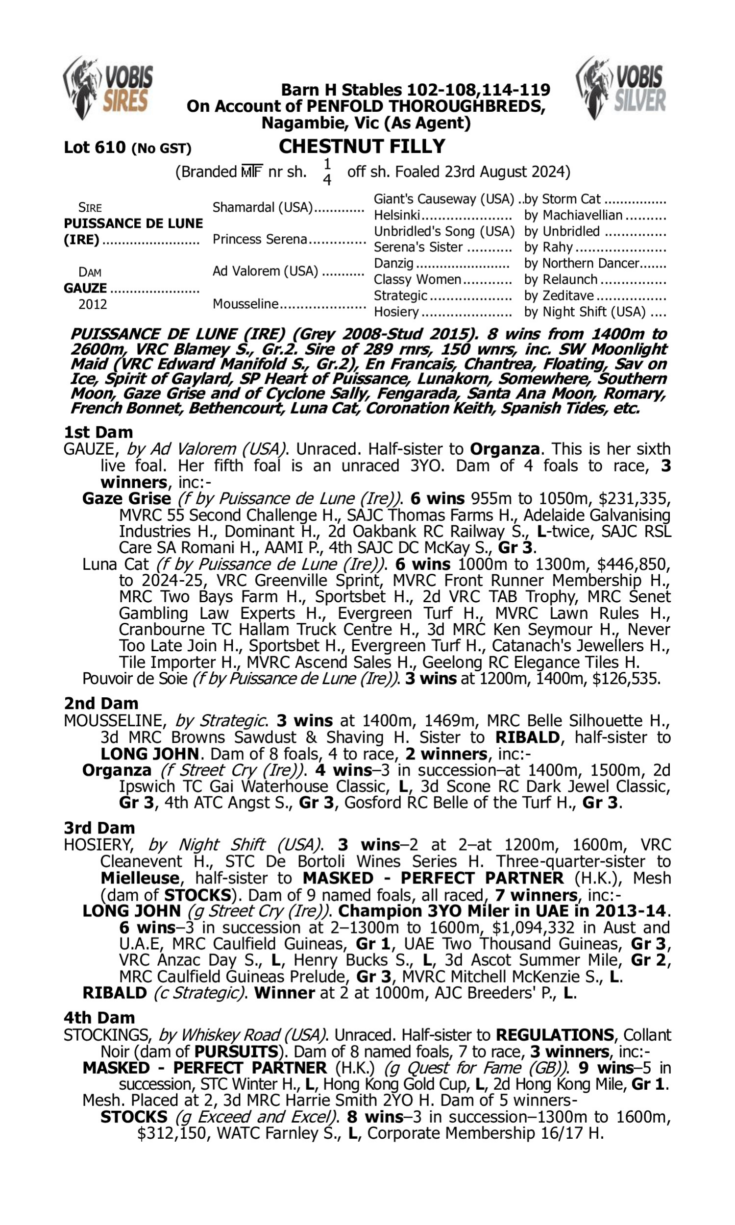 Pedigree for Lot 610 Puissance de Lune (IRE) - Gauze