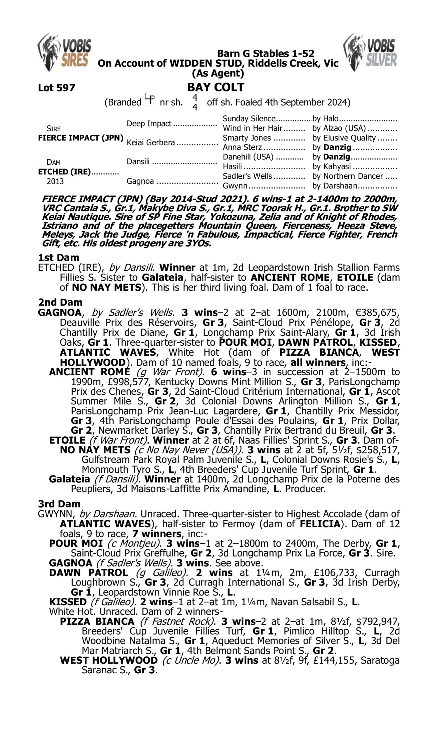 Pedigree for Lot 597 Fierce Impact (JPN) - Etched (IRE)