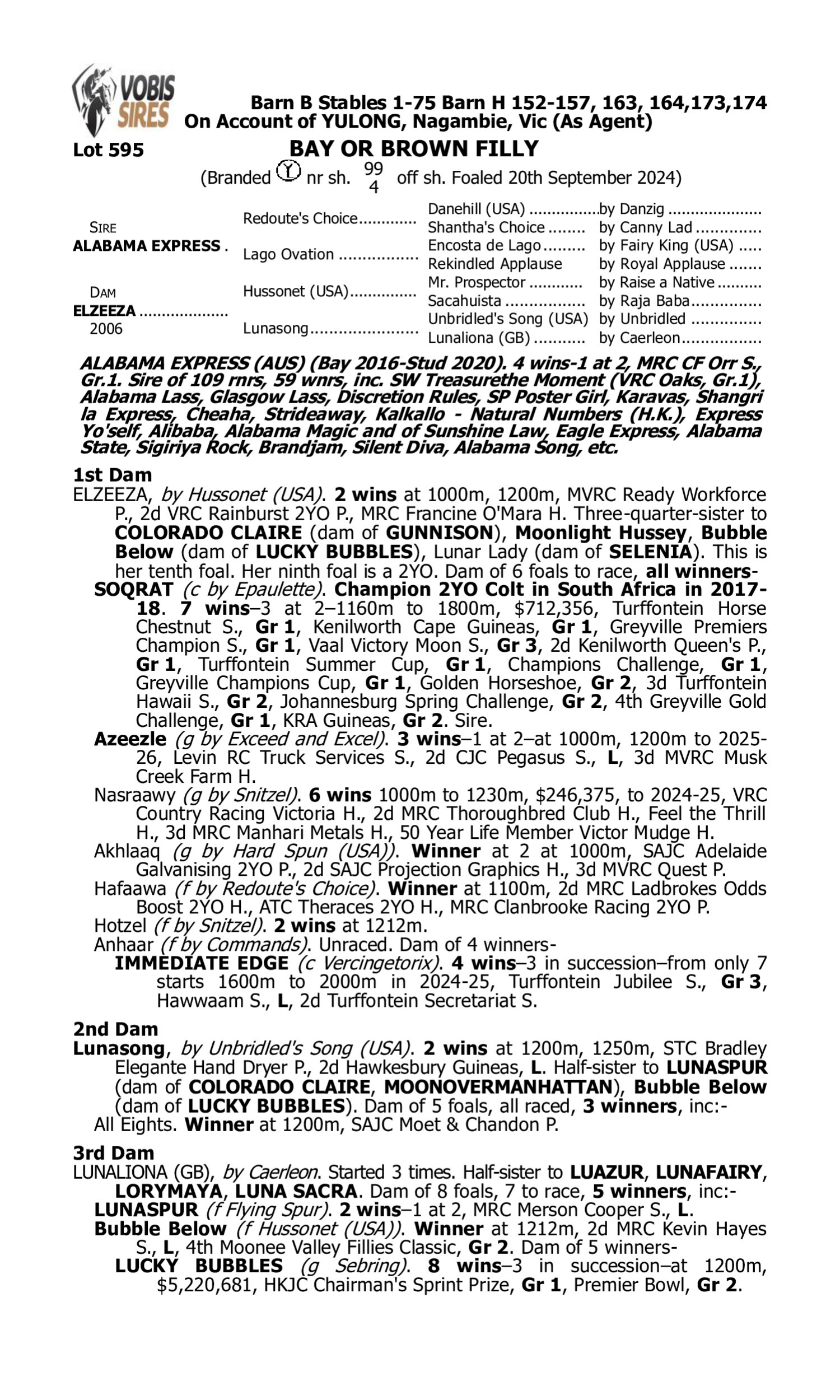 Pedigree for Lot 595 Alabama Express - Elzeeza