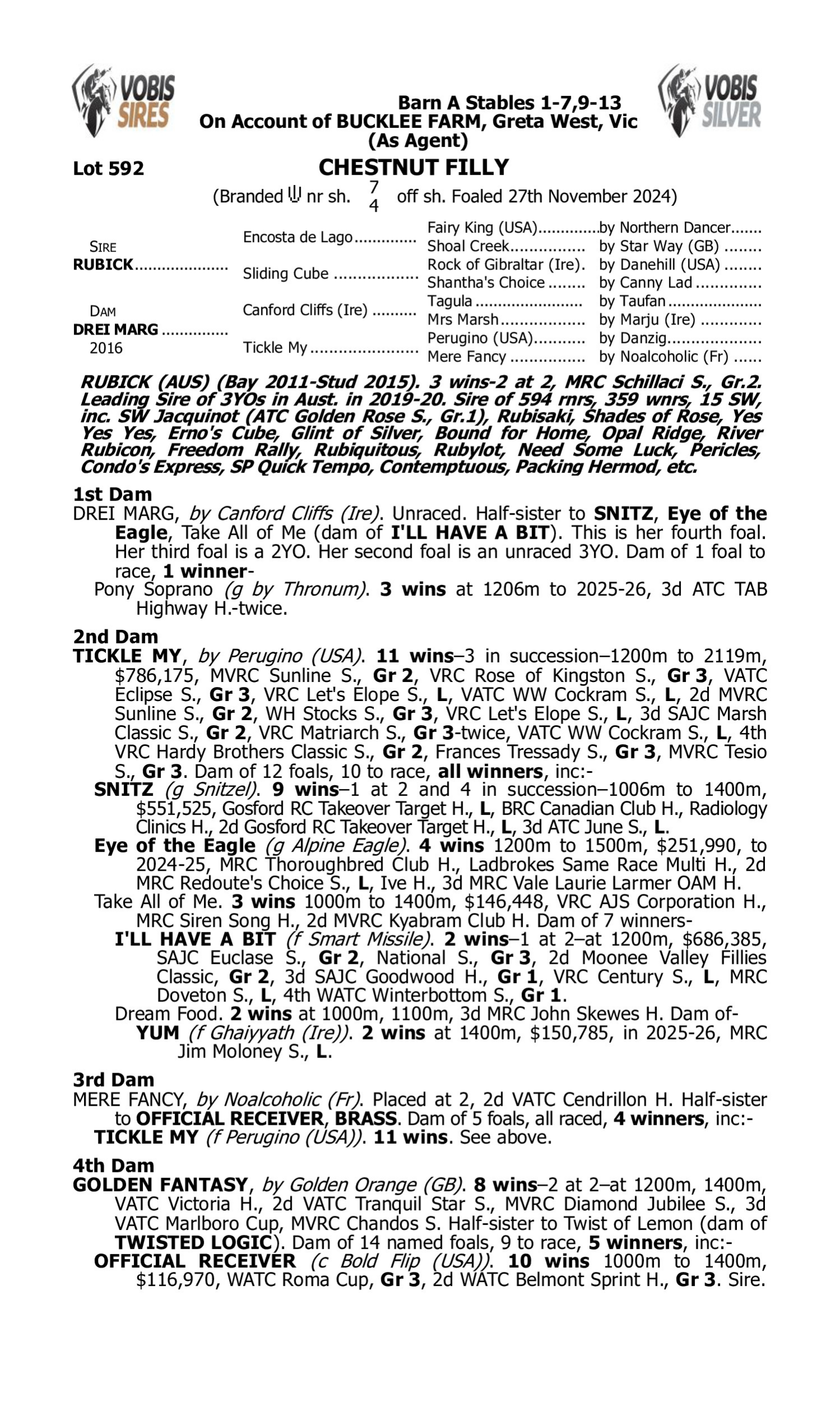Pedigree for Lot 592 Rubick - Drei Marg