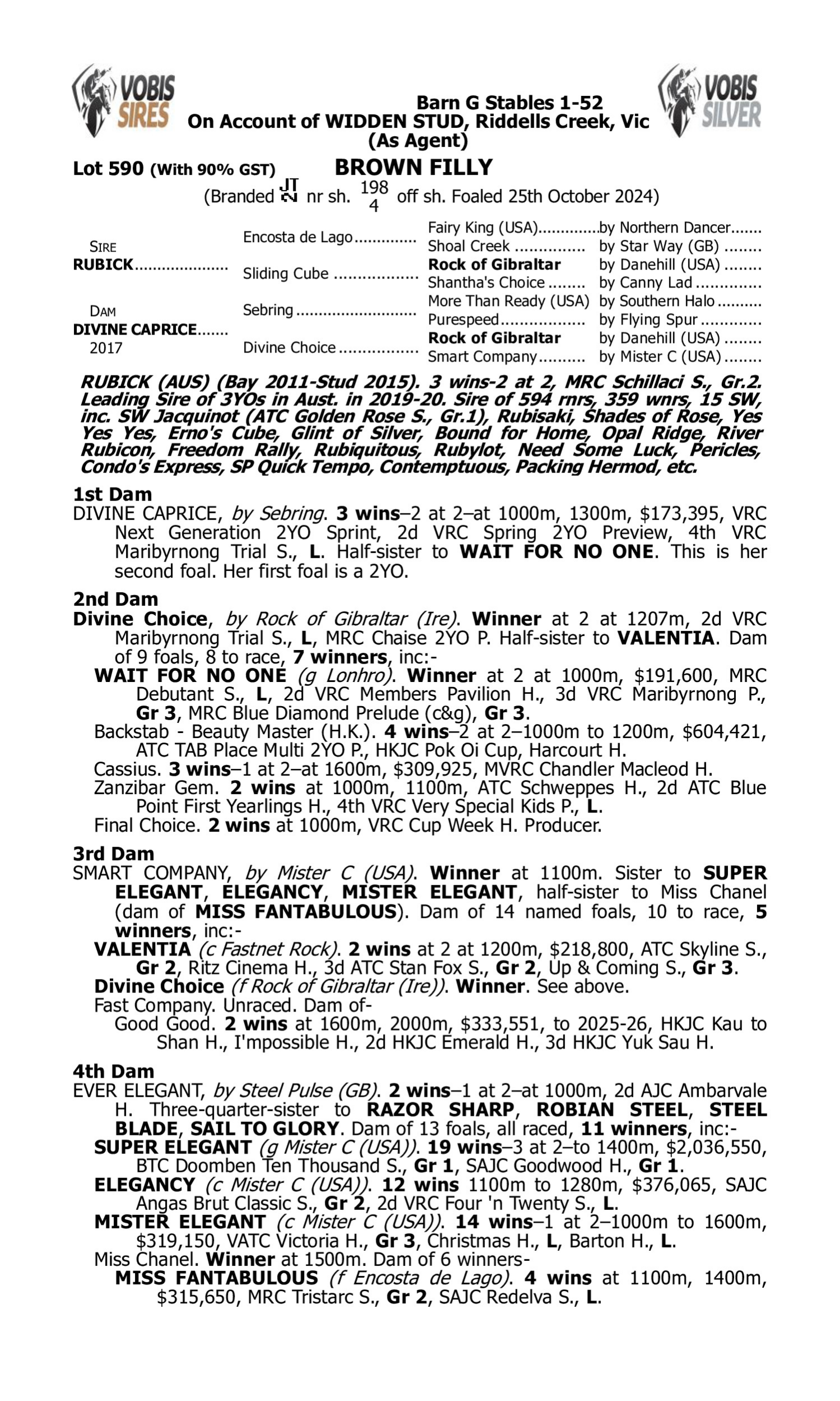 Pedigree for Lot 590 Rubick - Divine Caprice