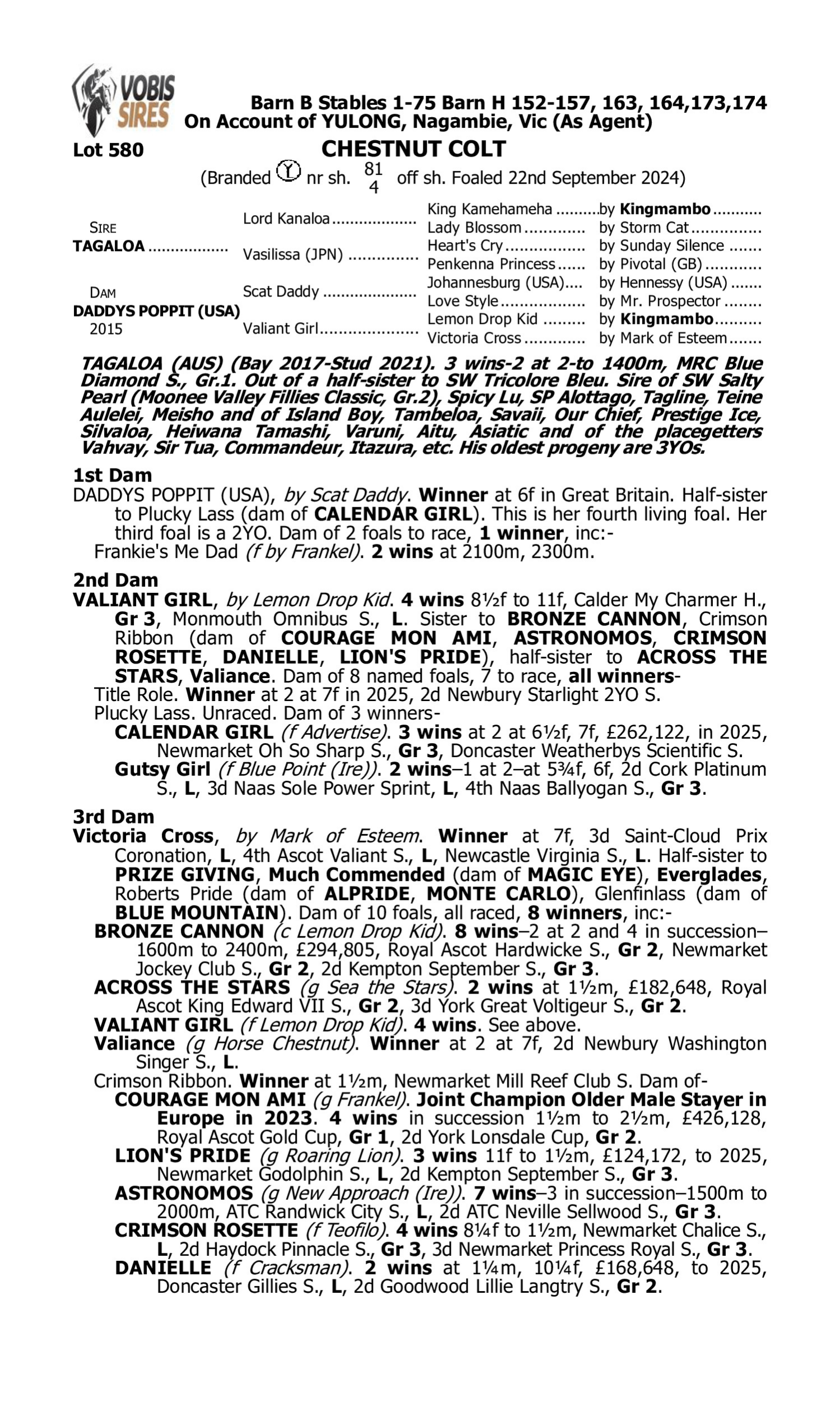 Pedigree for Lot 580 Tagaloa - Daddys Poppit (USA)