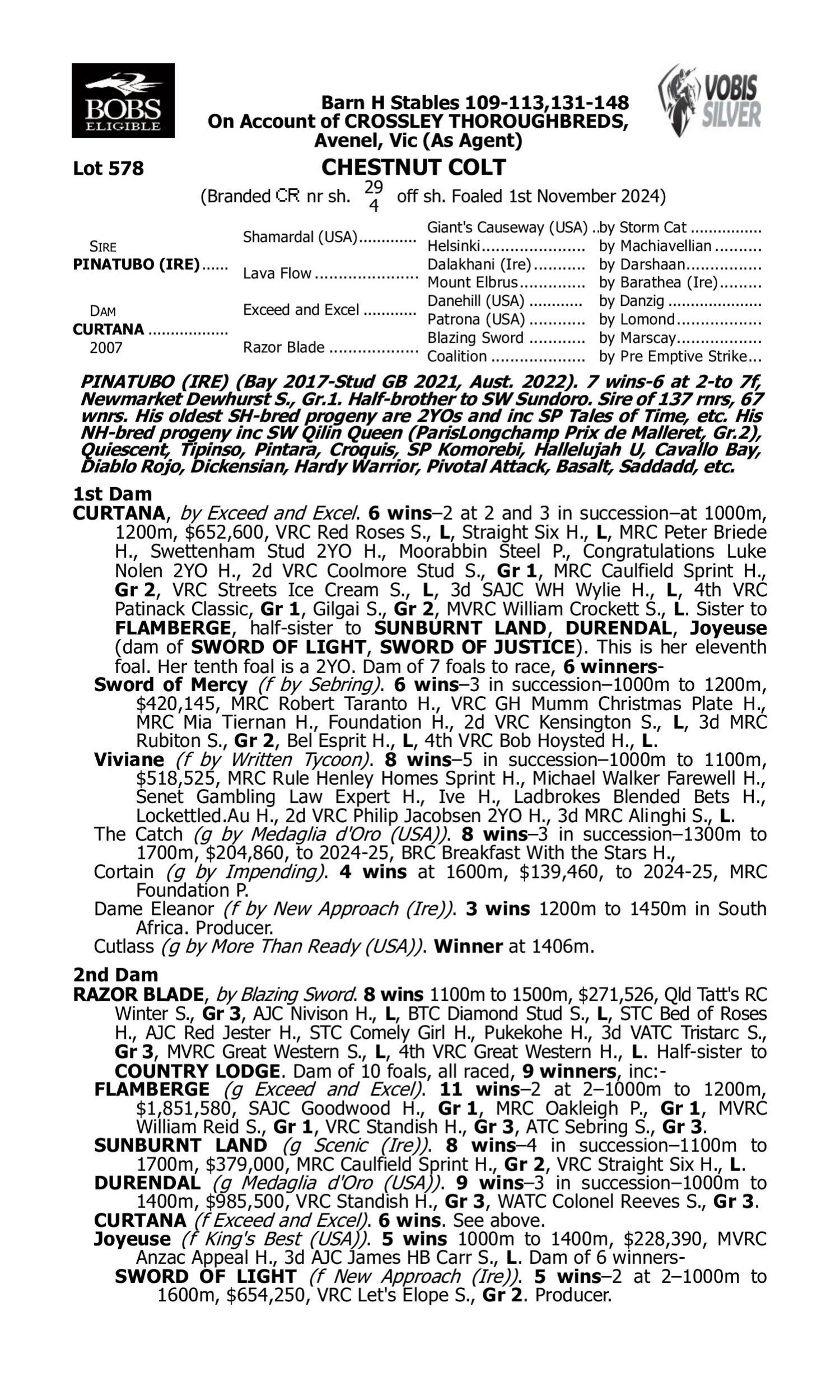 Pedigree for Lot 578 Pinatubo (IRE) - Curtana