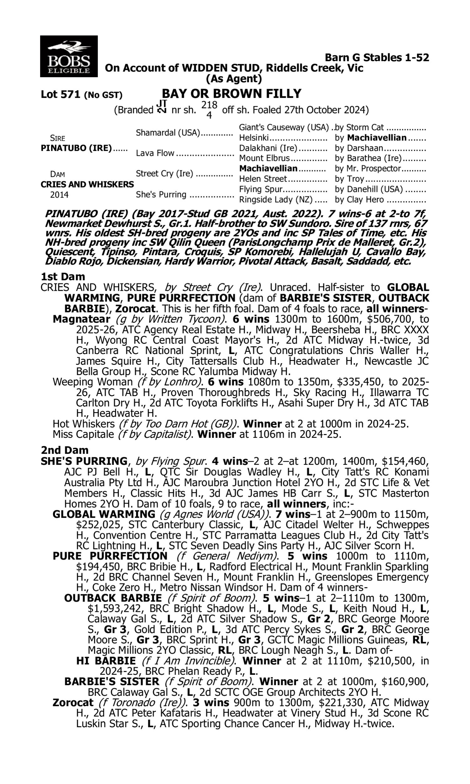 Pedigree for Lot 571 Pinatubo (IRE) - Cries and Whiskers