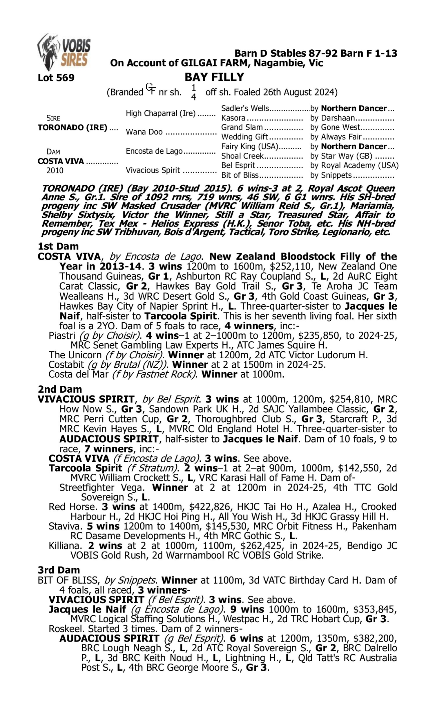 Pedigree for Lot 569 Toronado (IRE) - Costa Viva