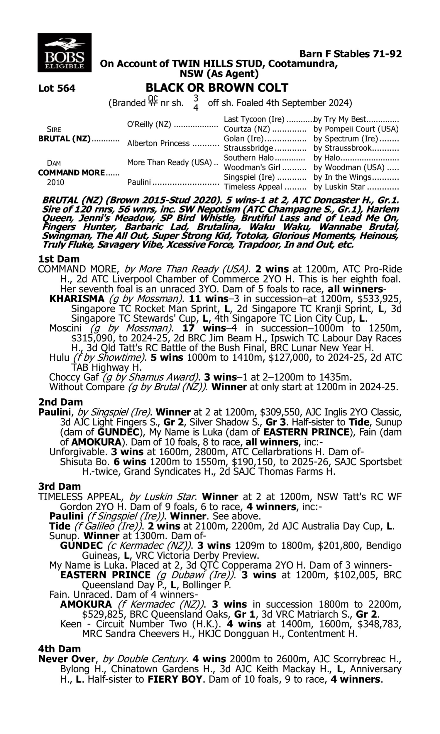 Pedigree for Lot 564 Brutal (NZ) - Command More