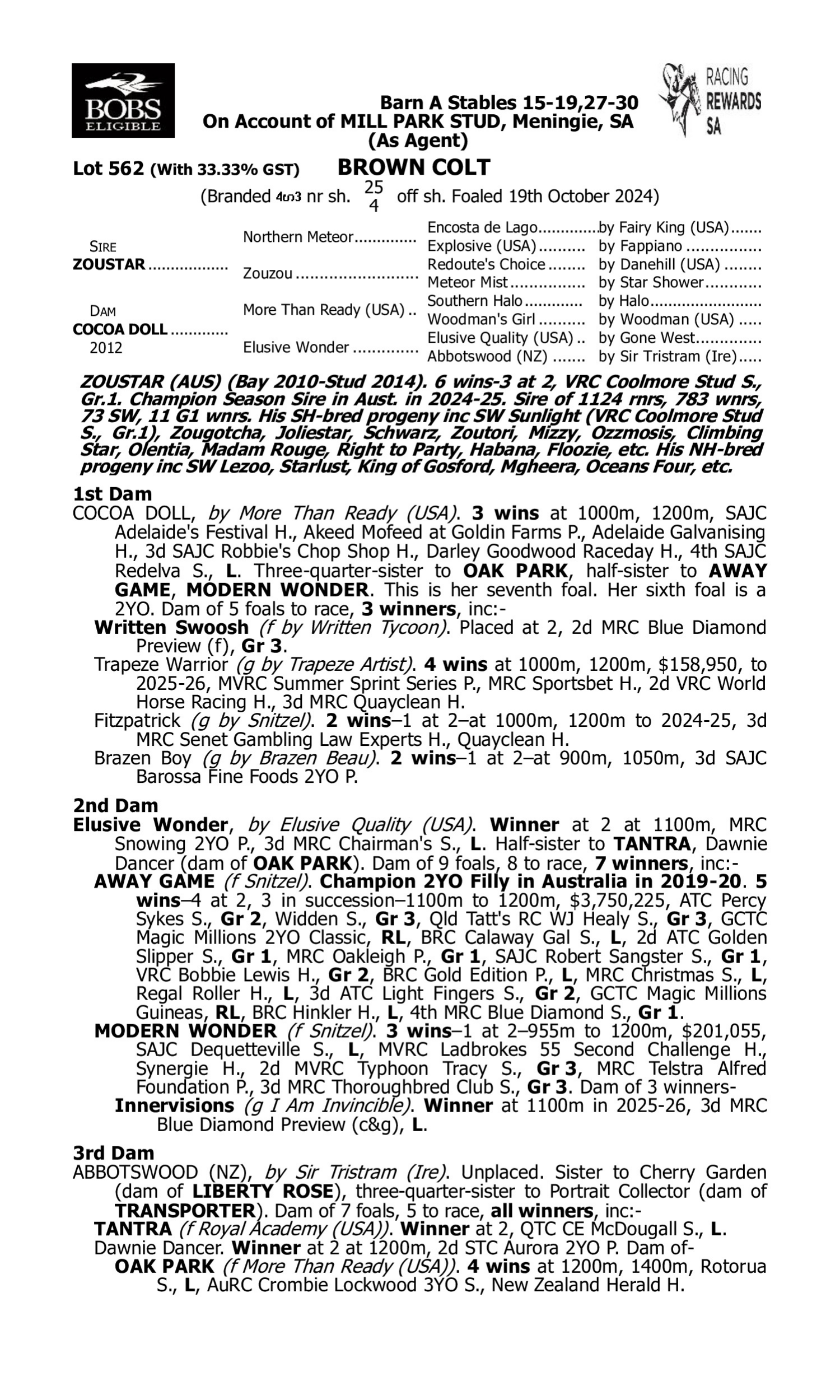 Pedigree for Lot 562 Zoustar - Cocoa Doll