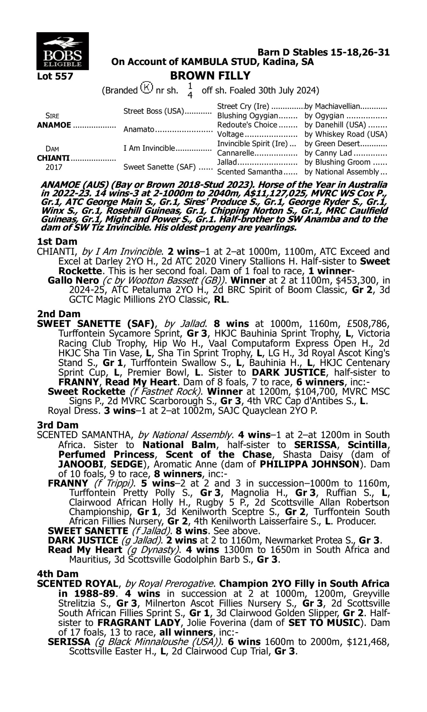 Pedigree for Lot 557 Anamoe - Chianti