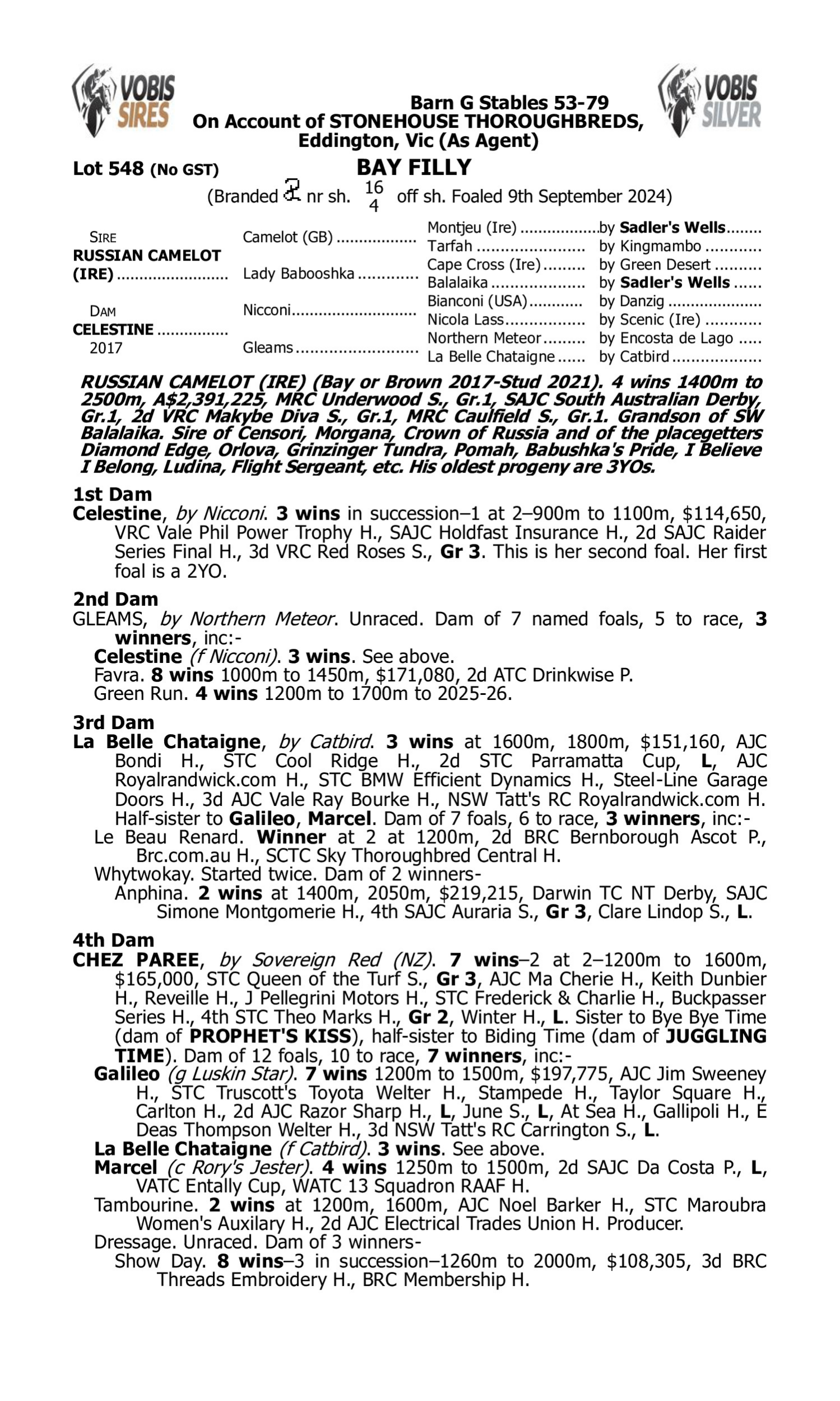 Pedigree for Lot 548 Russian Camelot (IRE) - Celestine