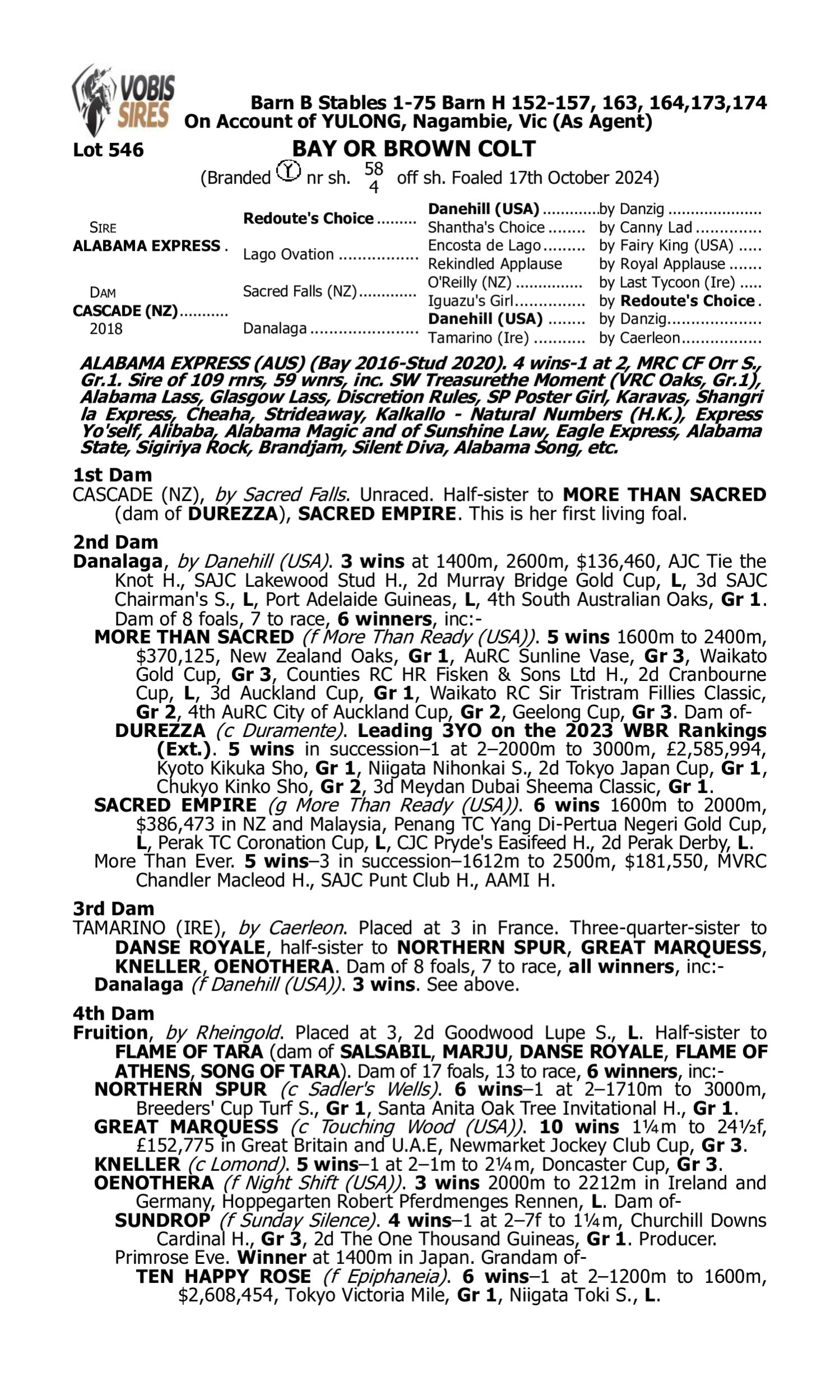 Pedigree for Lot 546 Alabama Express - Cascade (NZ)