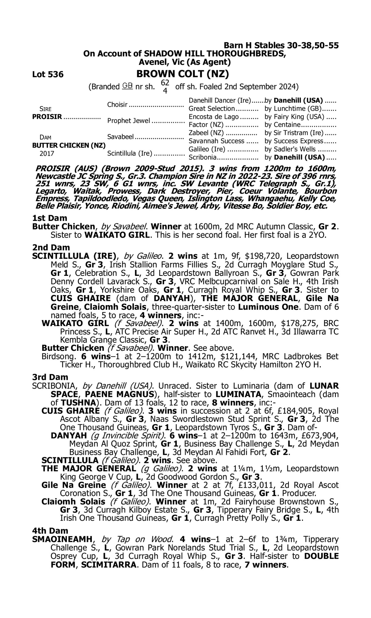 Pedigree for Lot 536 Proisir - Butter Chicken (NZ)