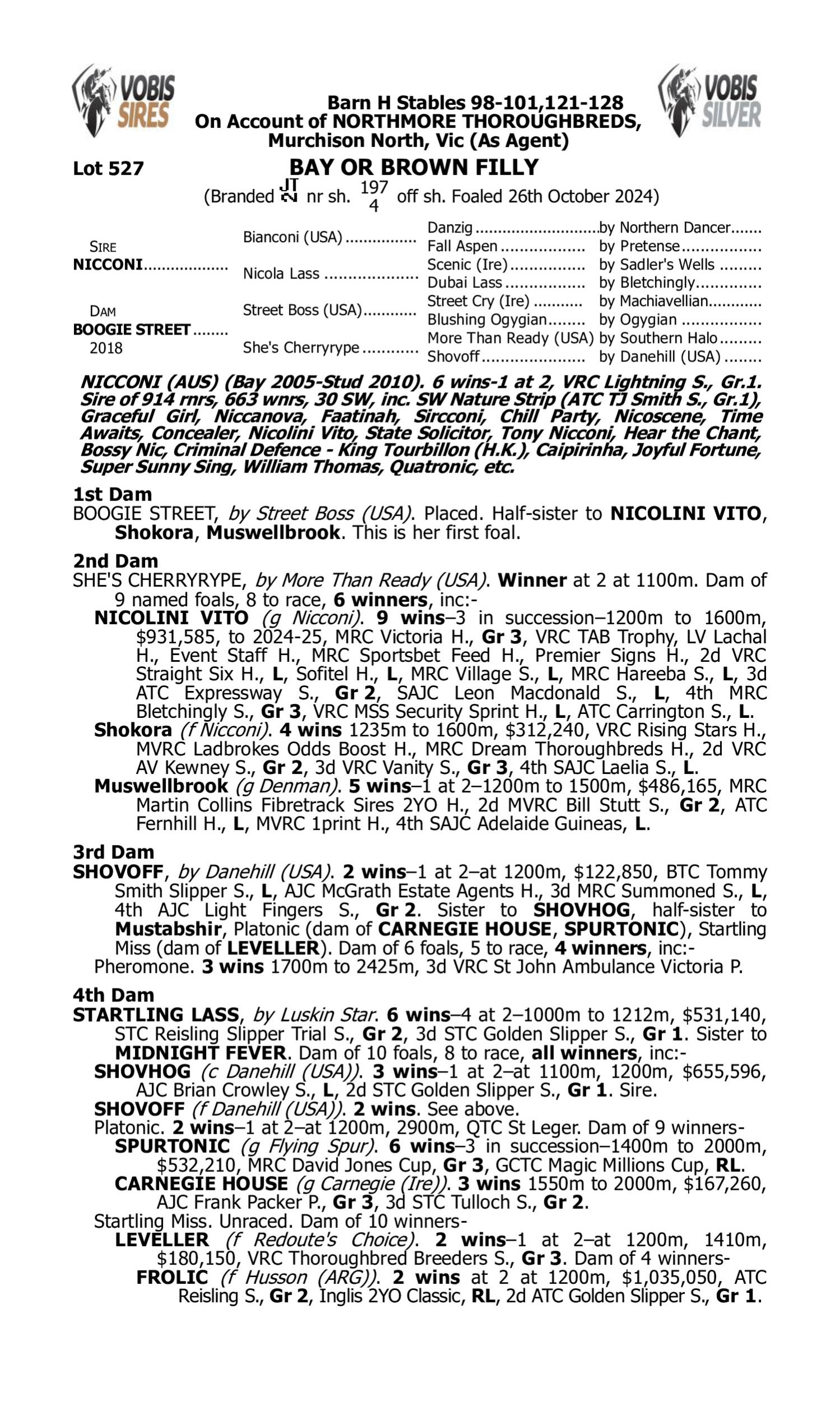 Pedigree for Lot 527 Nicconi - Boogie Street