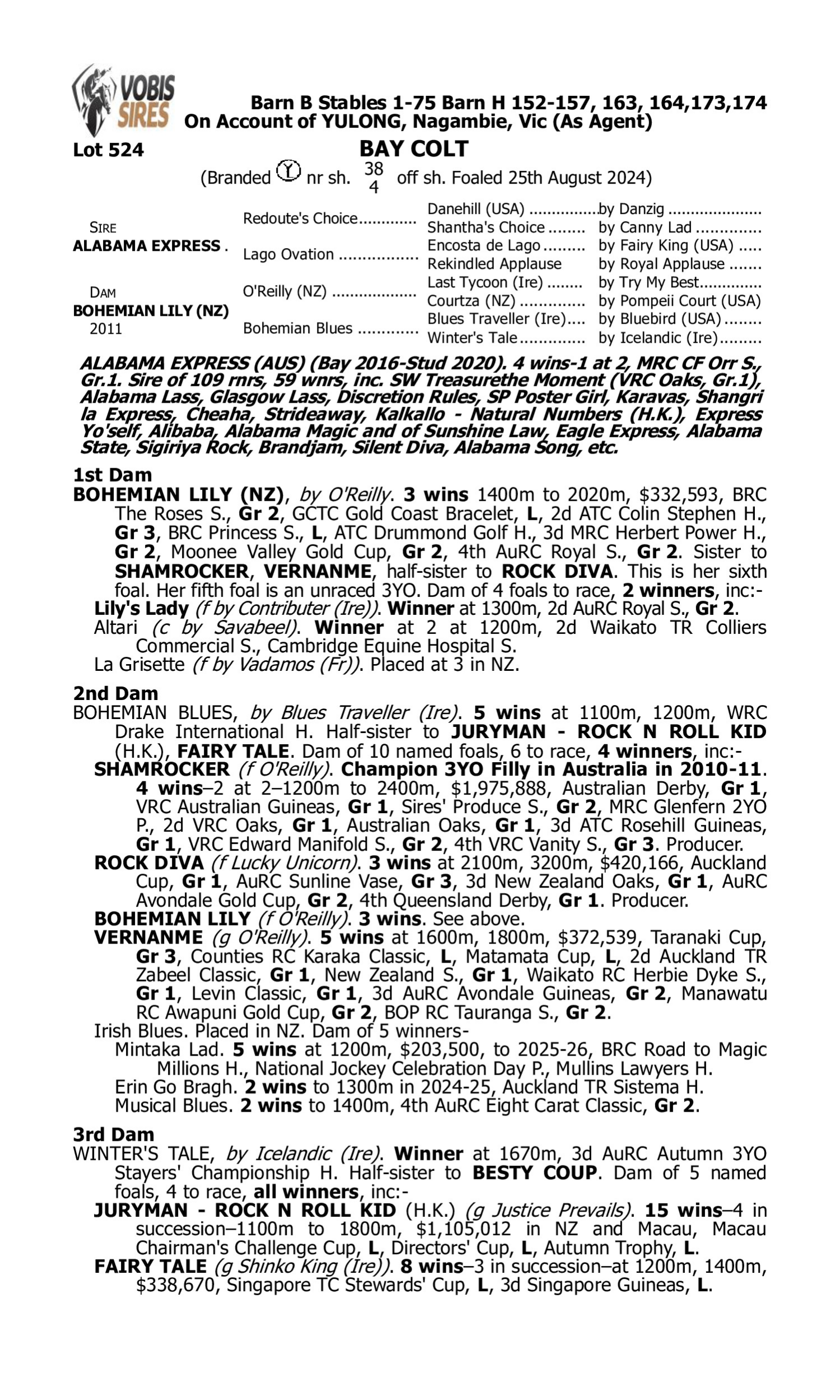 Pedigree for Lot 524 Alabama Express - Bohemian Lily (NZ)