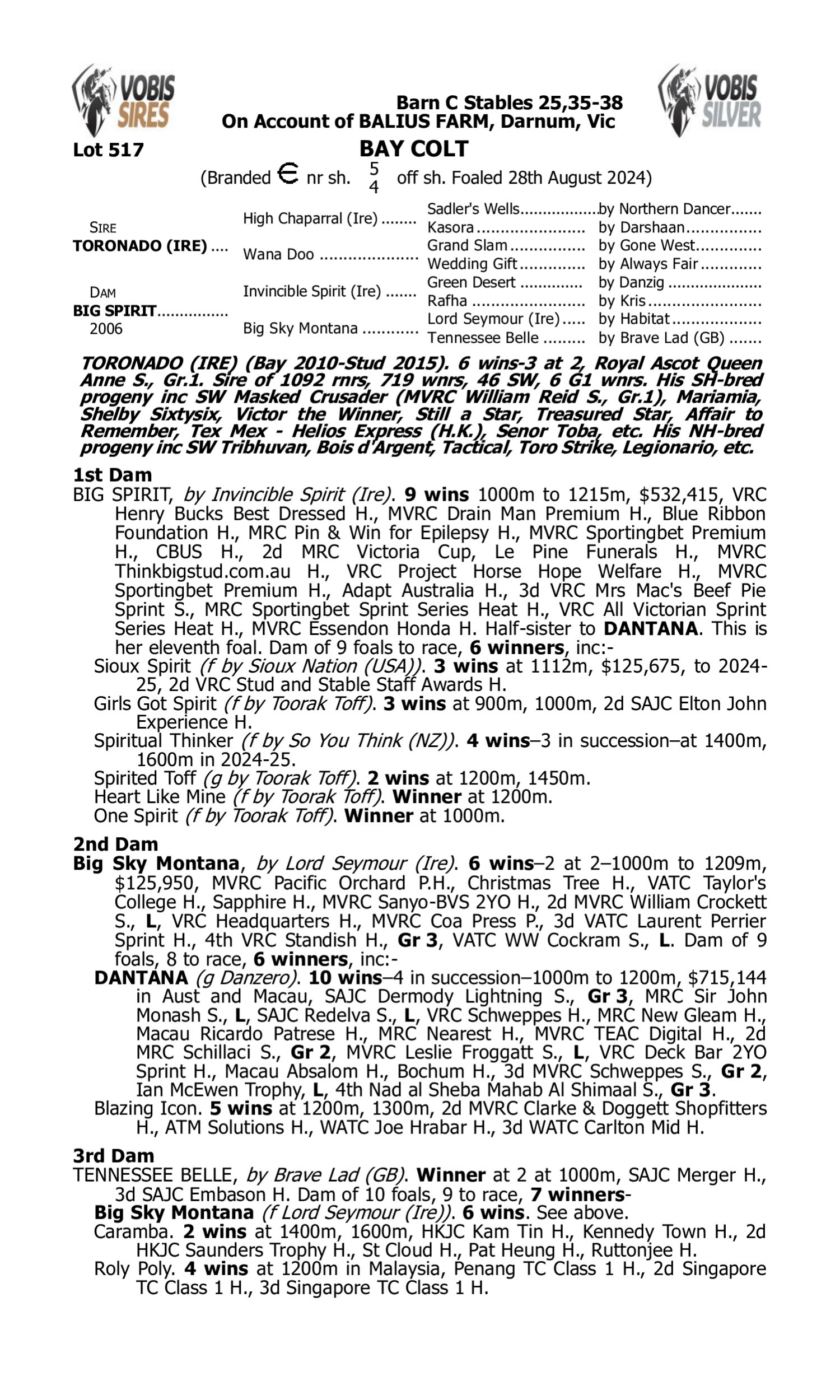 Pedigree for Lot 517 Toronado (IRE) - Big Spirit