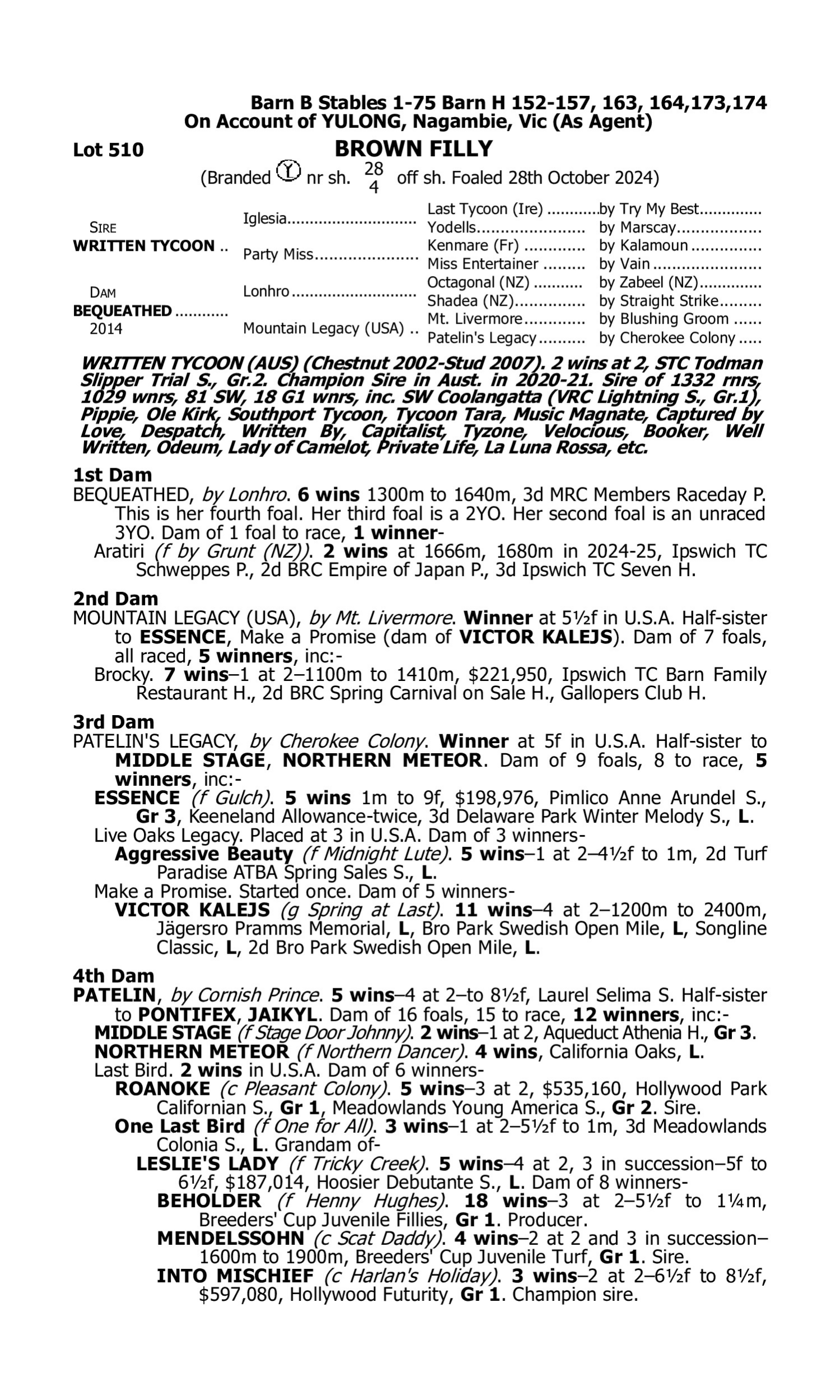 Pedigree for Lot 510 Written Tycoon - Bequeathed