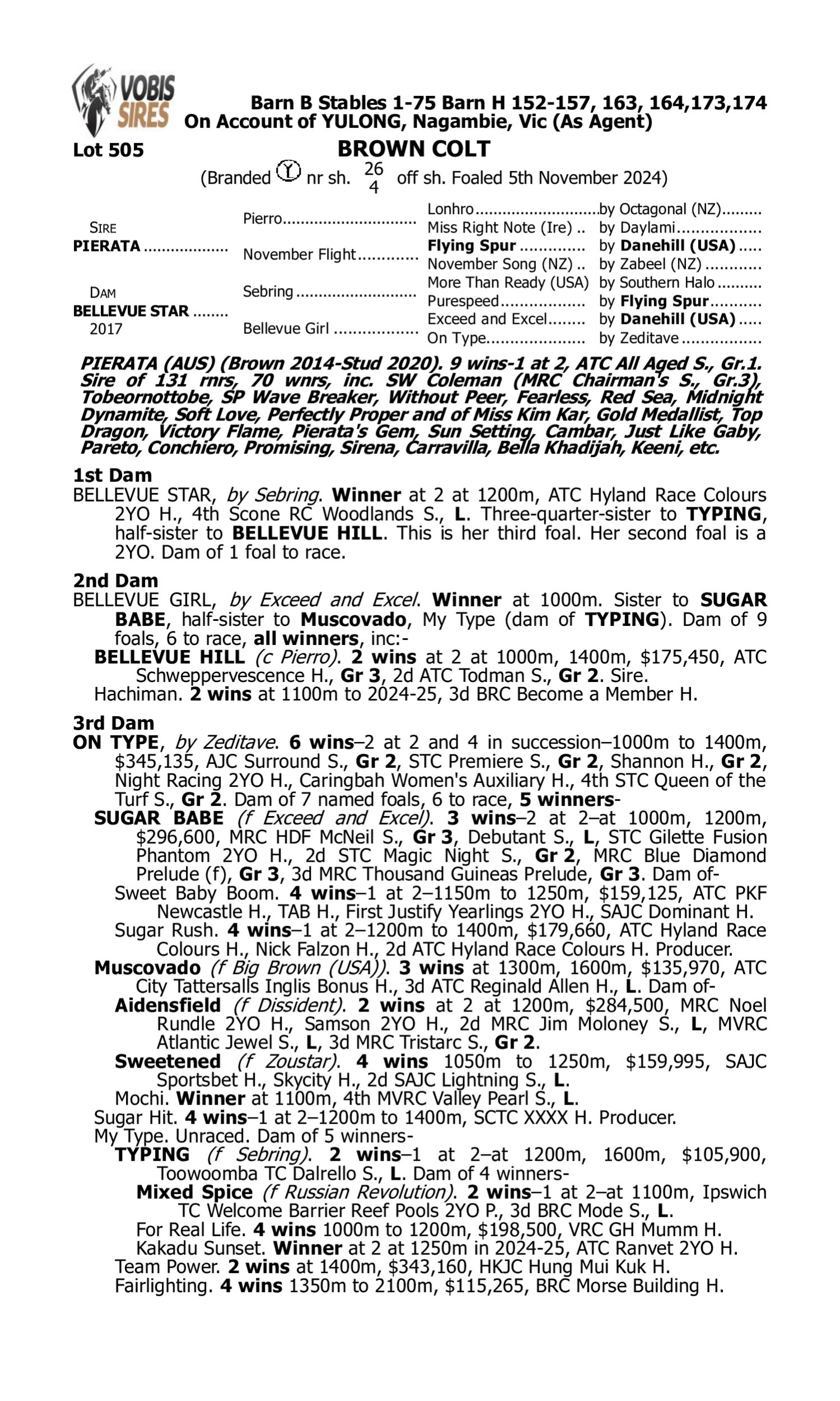 Pedigree for Lot 505 Pierata - Bellevue Star