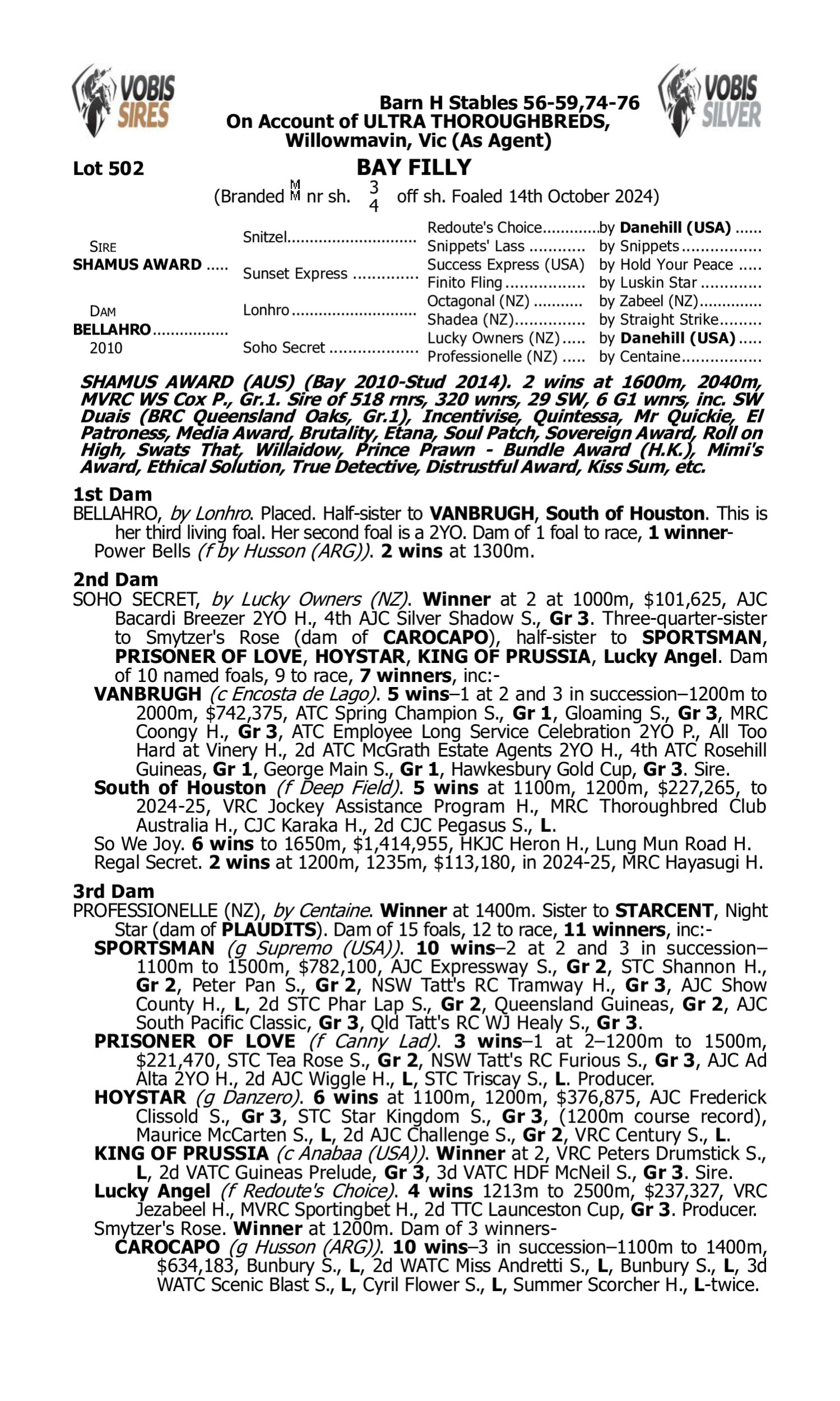 Pedigree for Lot 502 Shamus Award - Bellahro