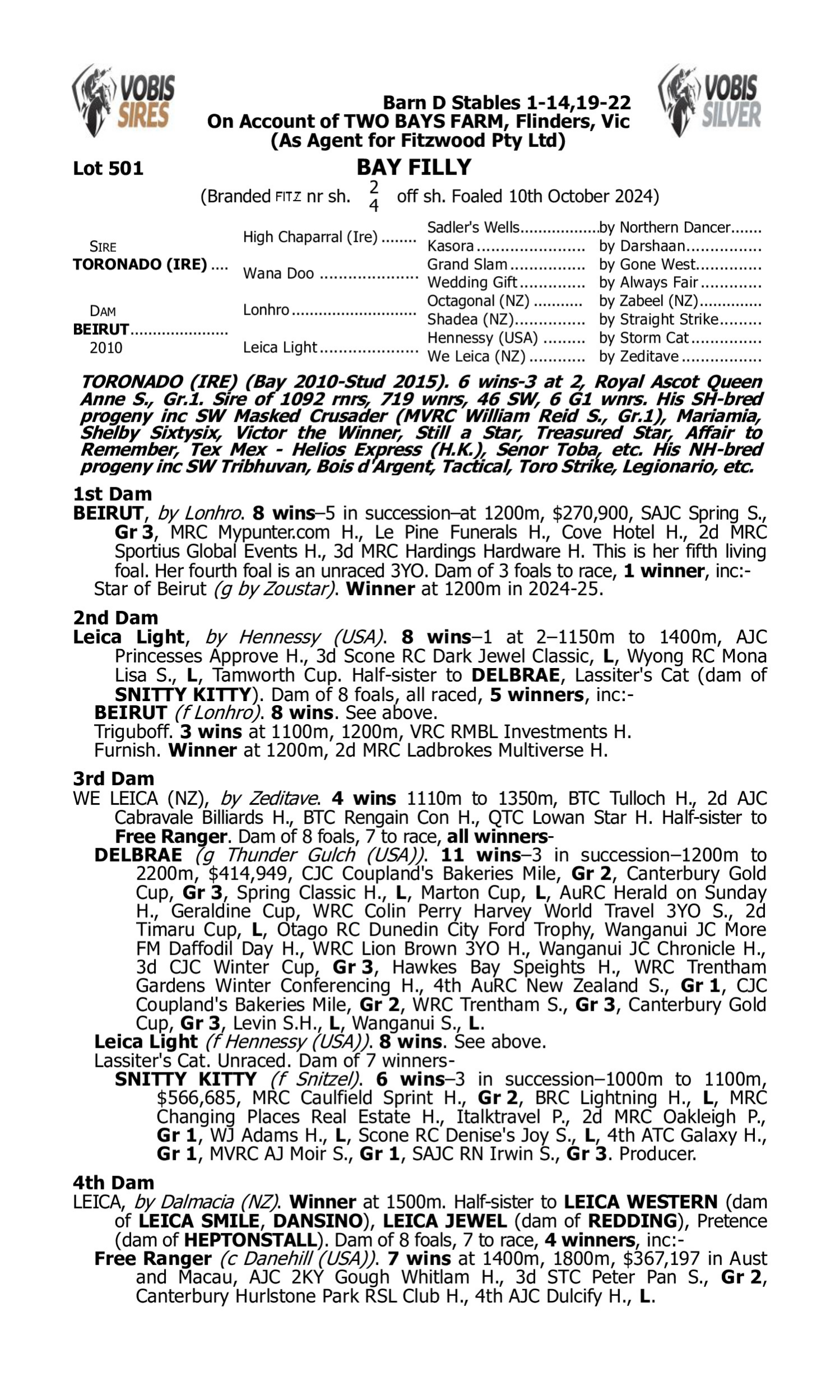 Pedigree for Lot 501 Toronado (IRE) - Beirut