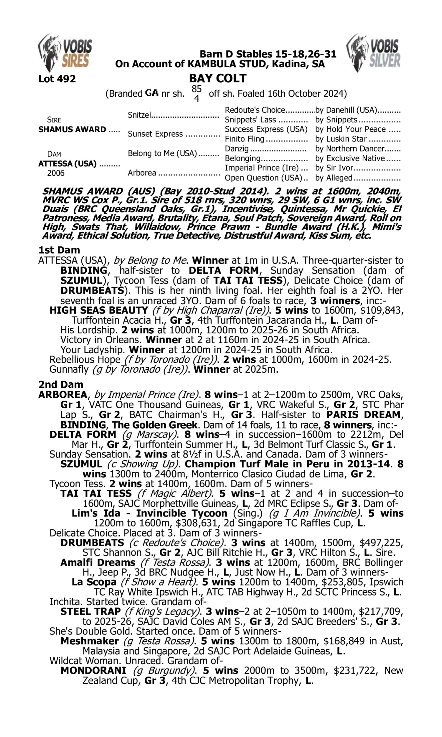 Pedigree for Lot 492 Shamus Award - Attessa (USA)
